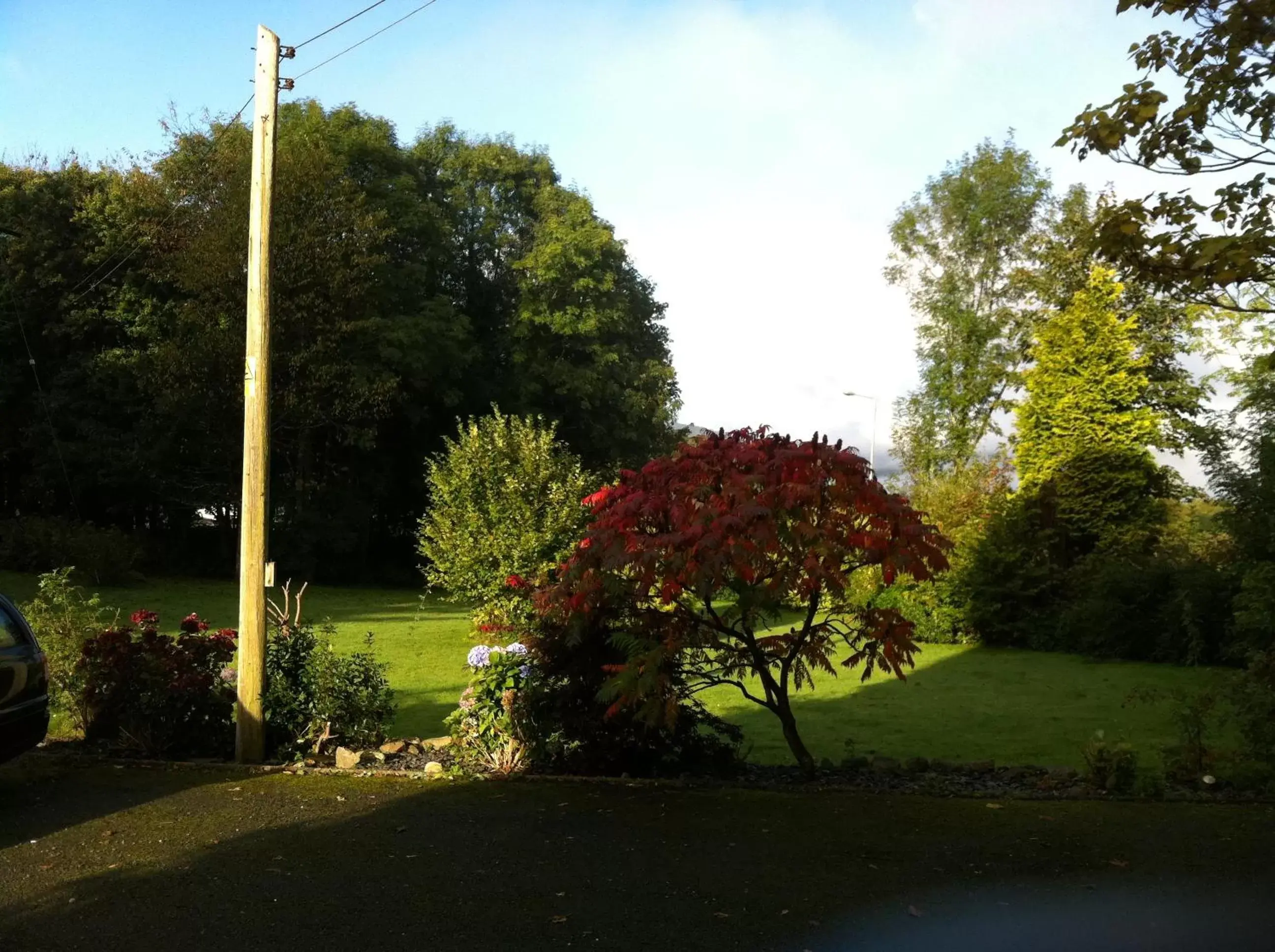 Garden view, Garden in Trem Hyfryd B&B and Spa