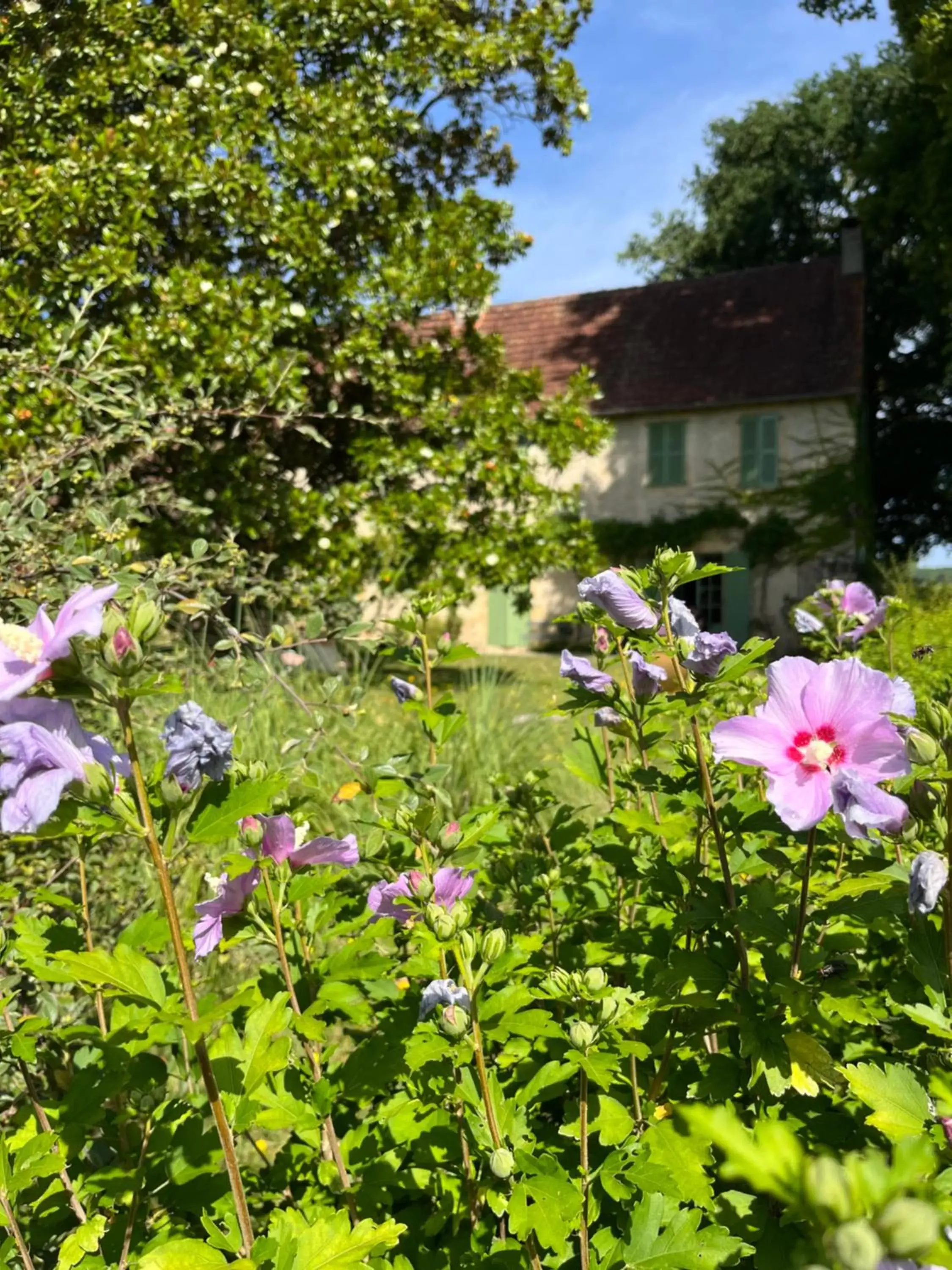 Garden in Le Clos Chalmon Chambre d'hôte