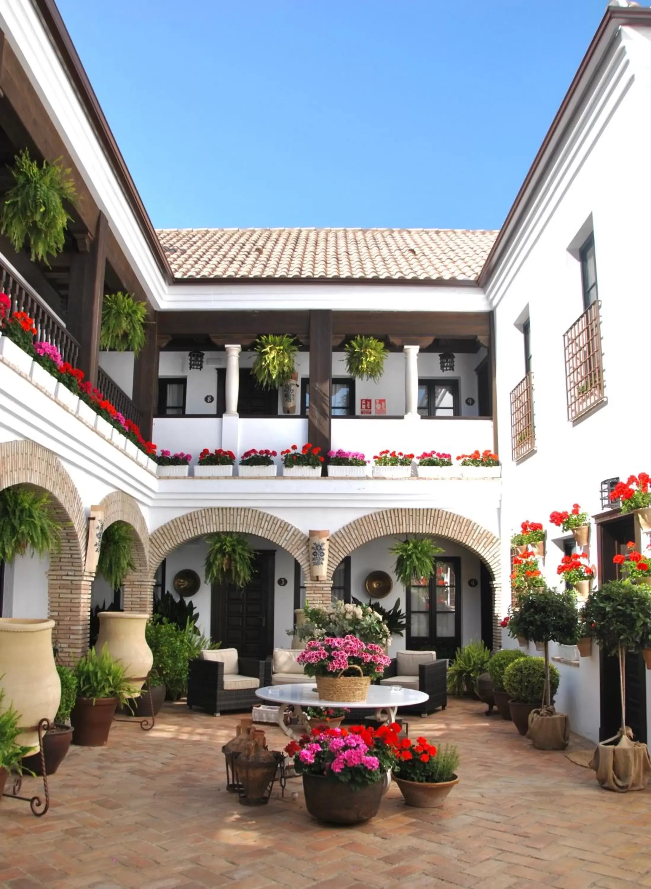 Patio in Suites La Posada De Pilar