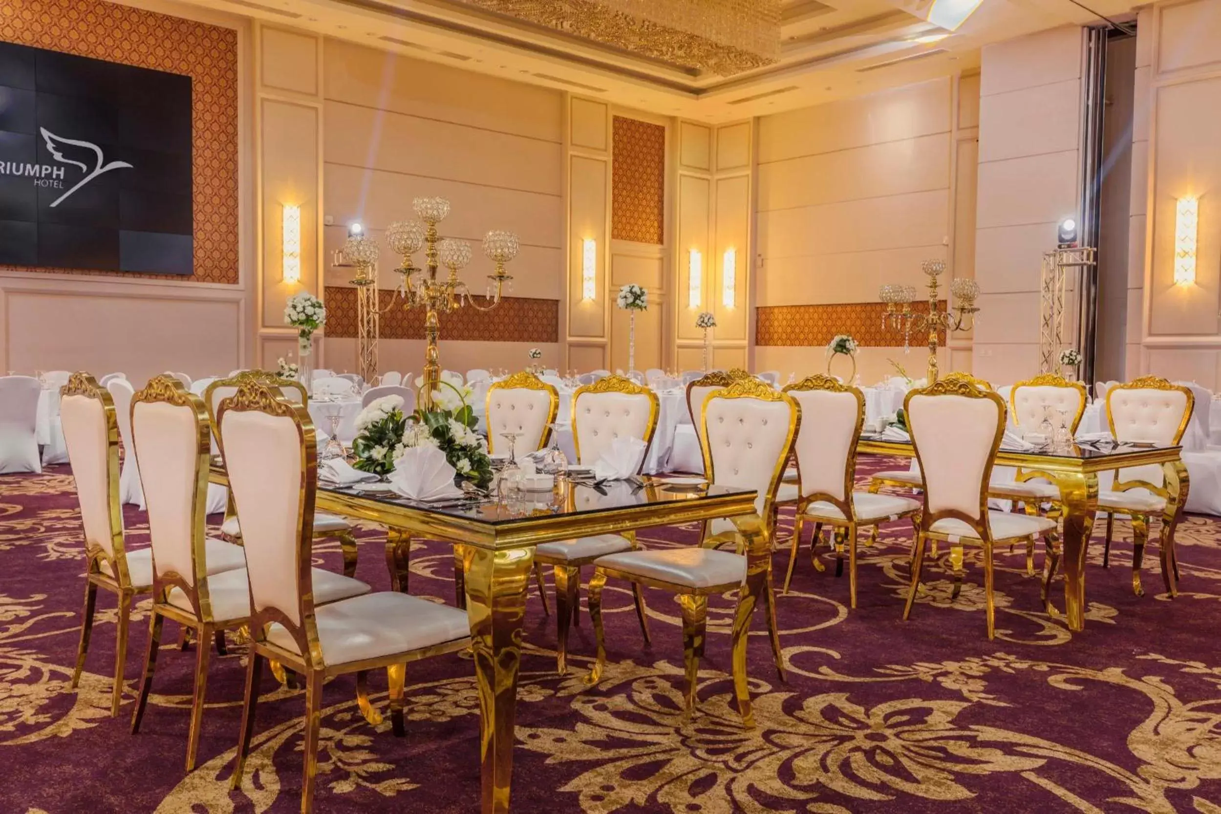 Meeting/conference room, Banquet Facilities in Triumph Luxury Hotel