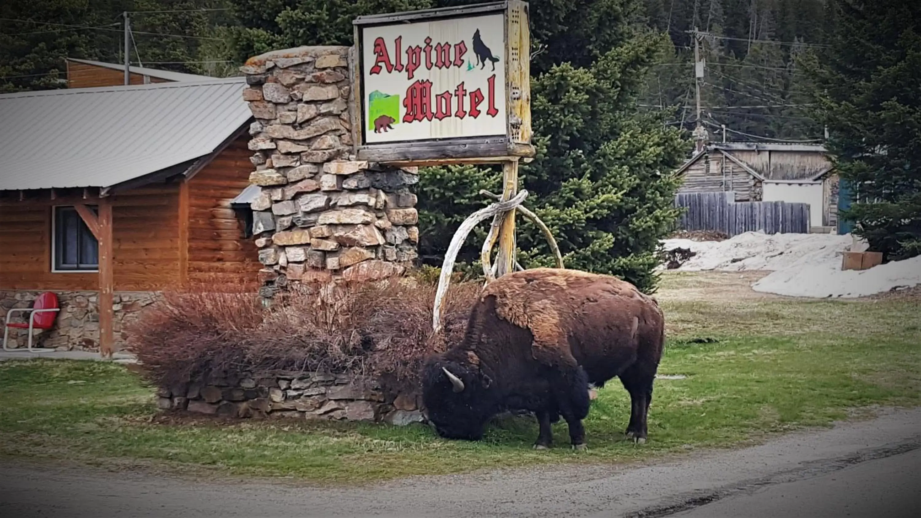 Property logo or sign, Other Animals in Alpine Motel of Cooke City