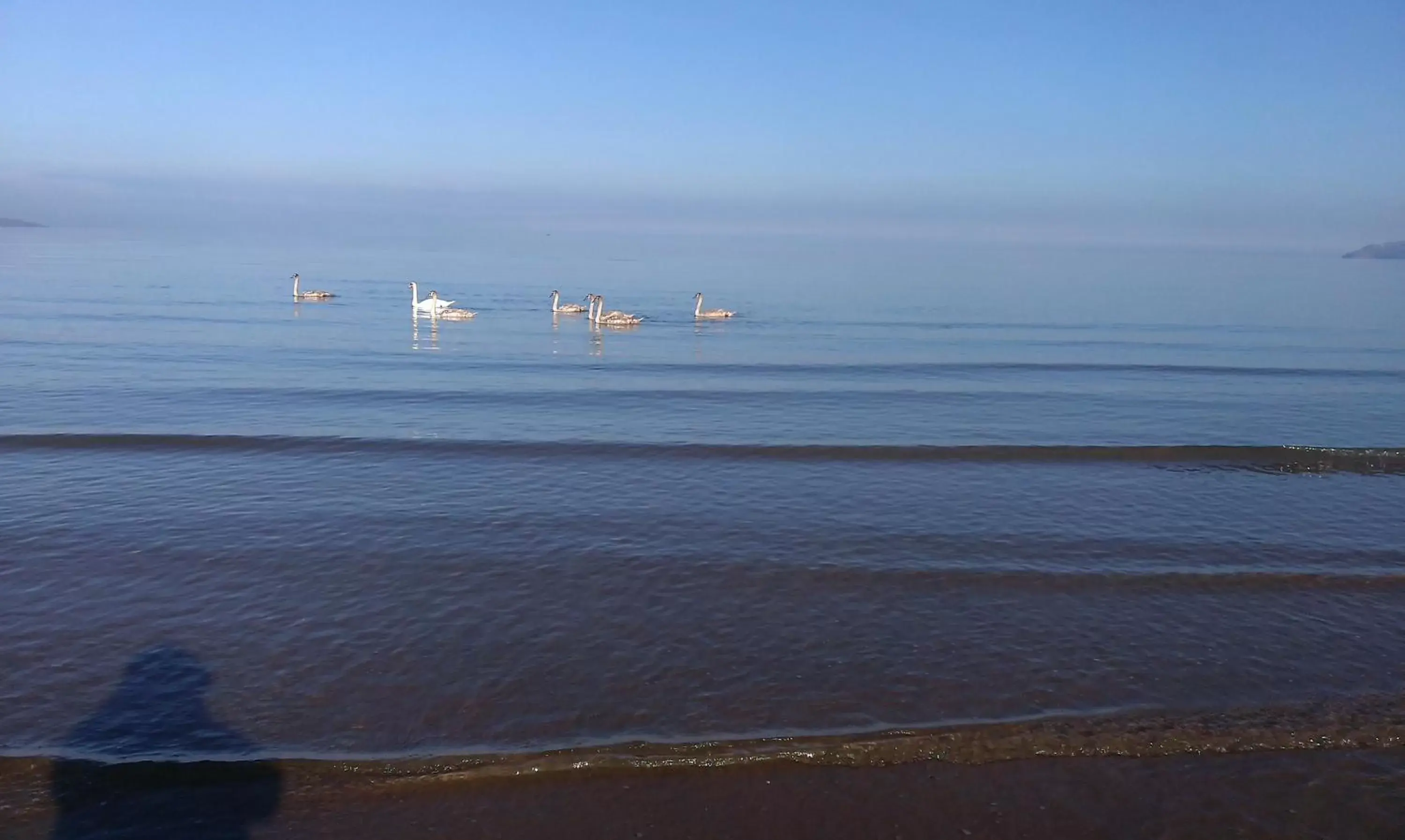 Beach, Sea View in Min y Don Guest House