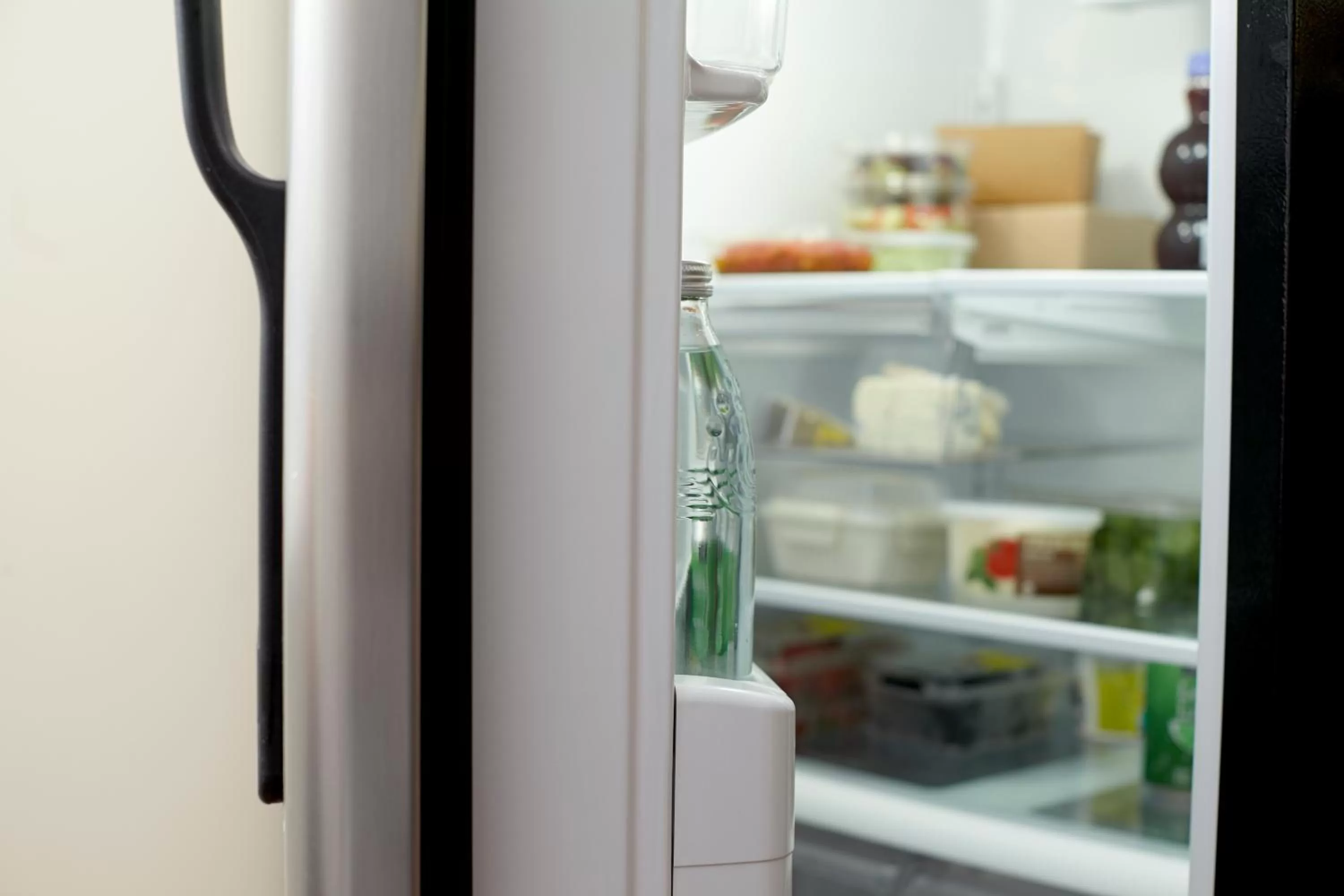 Studio with Sofa Bed in Hyatt House Raleigh Durham Airport
