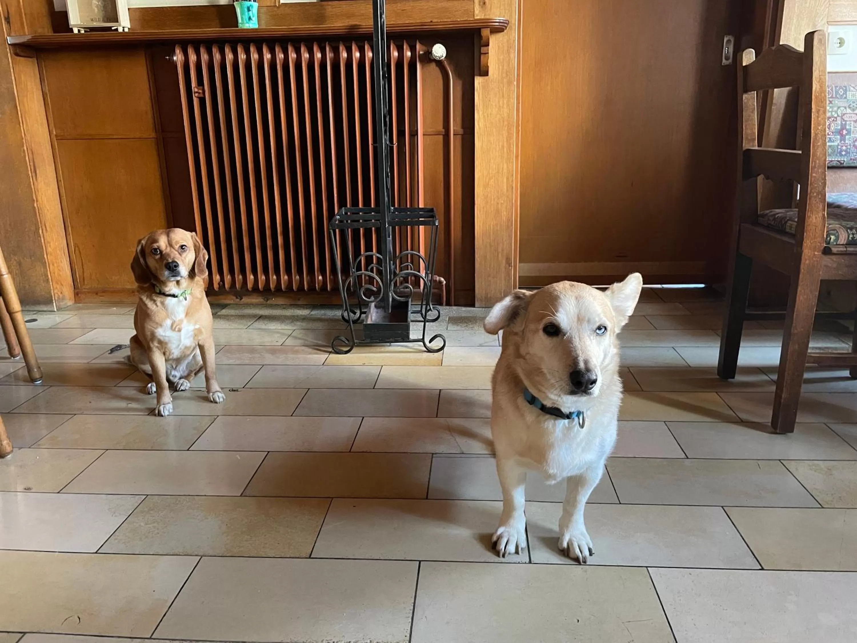 Property building in Berggarten Schwalenberg