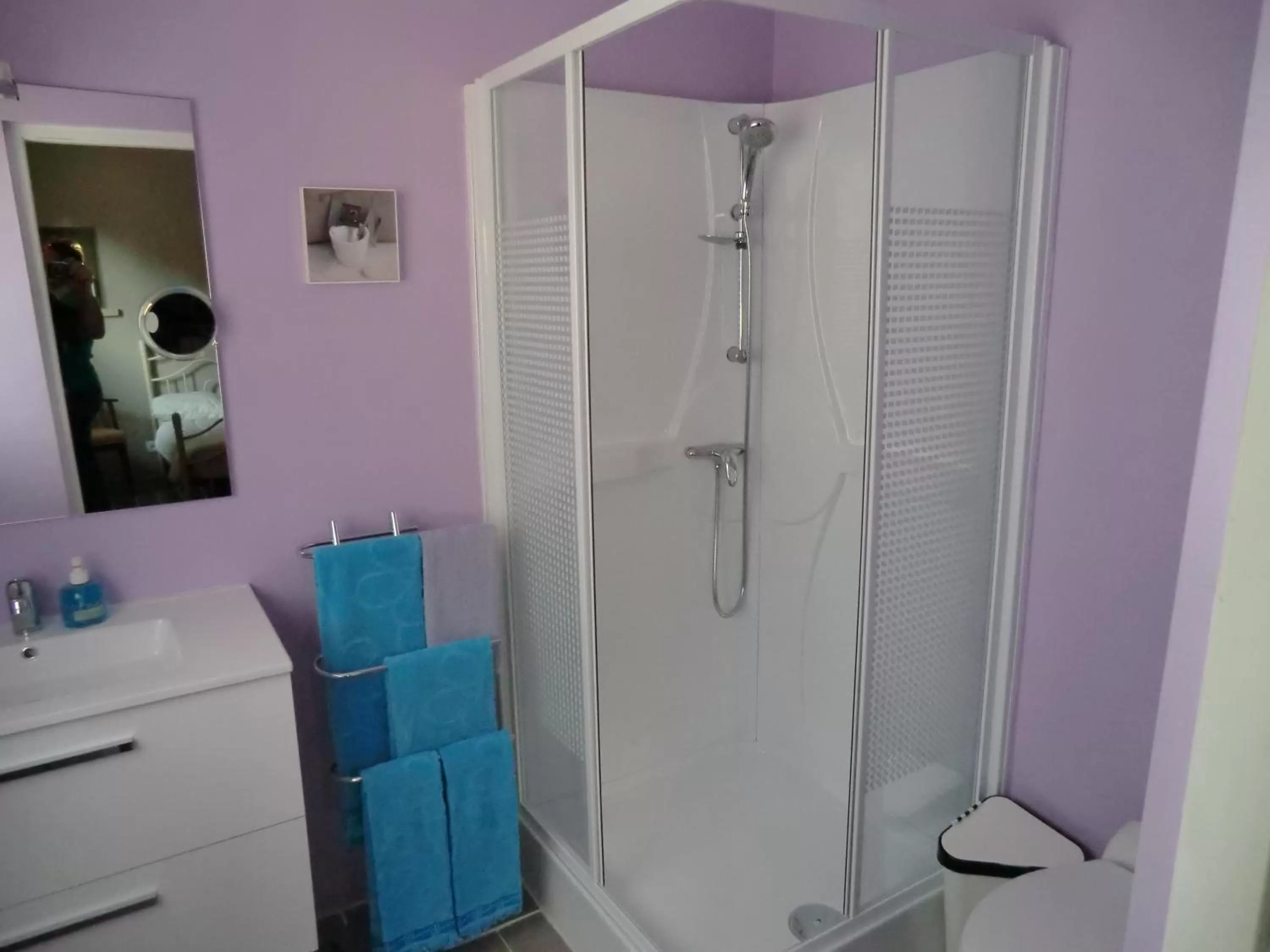 Decorative detail, Bathroom in La Bastide de Fontaille