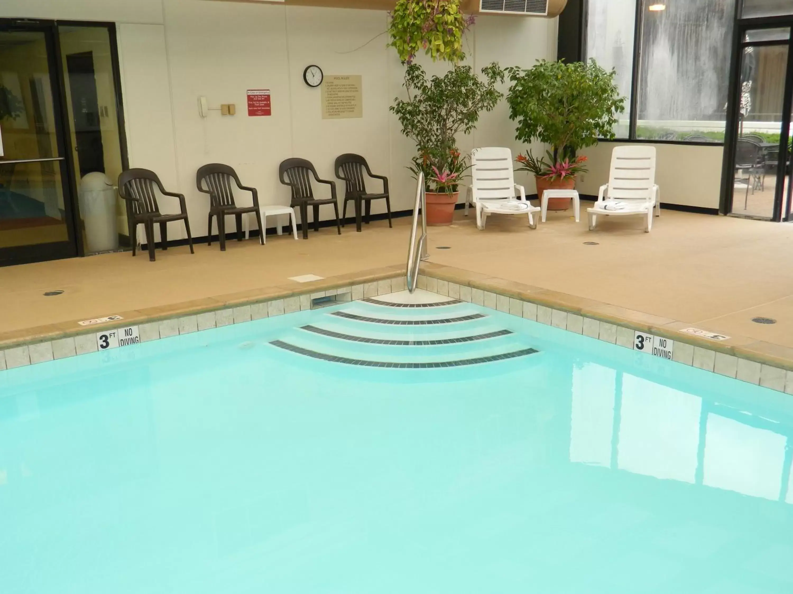 Swimming Pool in Capital Plaza Hotel