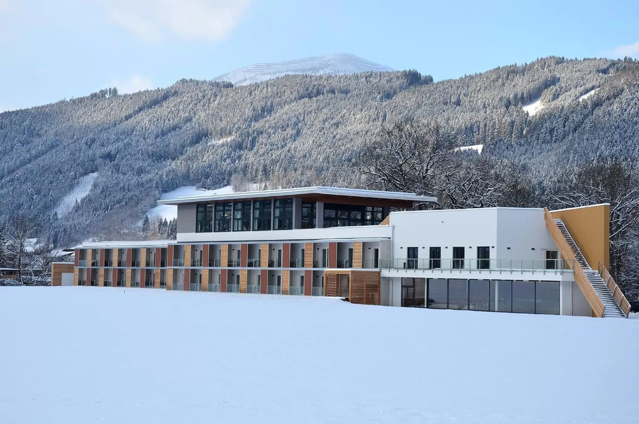 Natural landscape, Winter in Hotel Spirodom