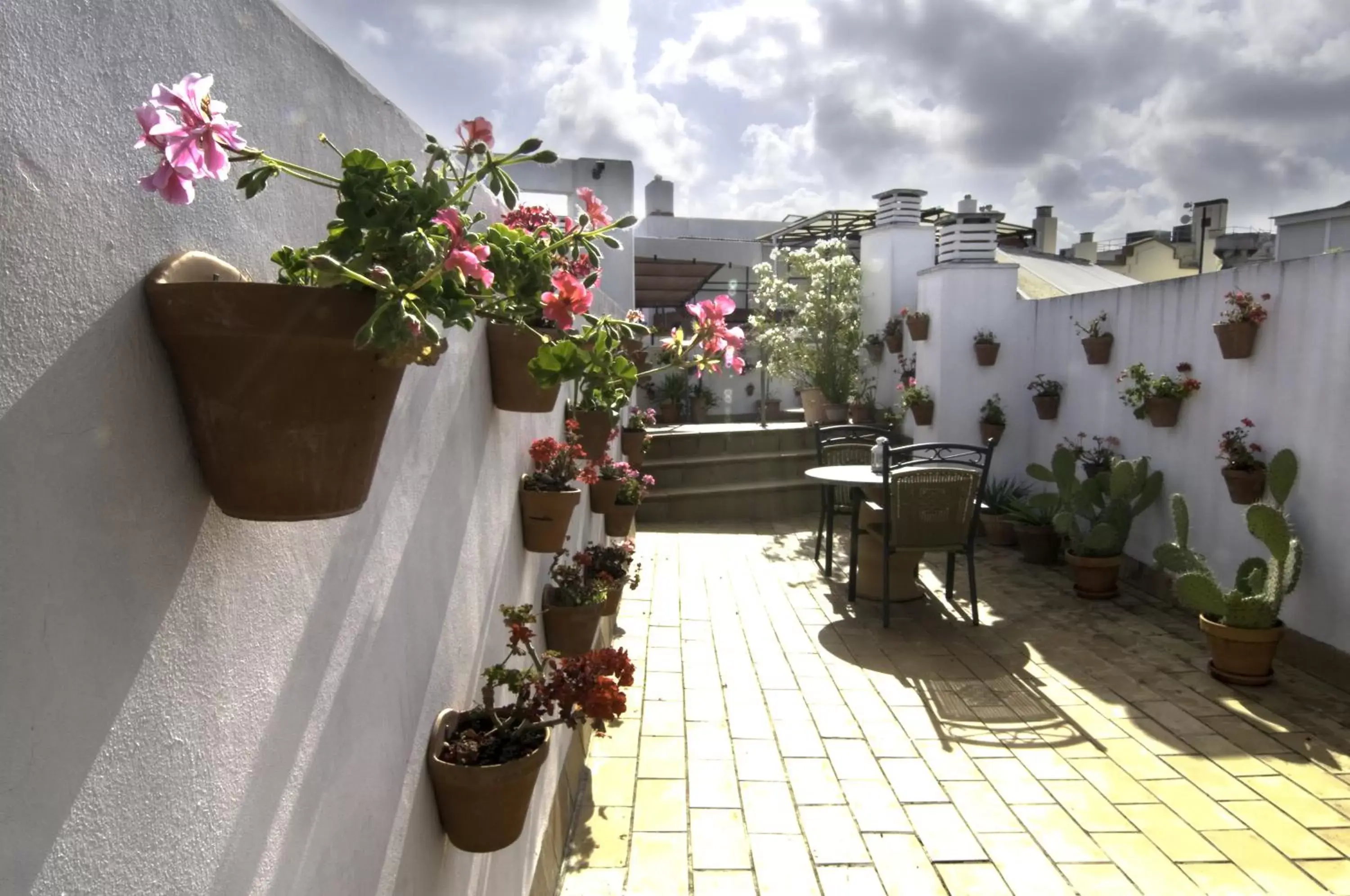 Balcony/Terrace in Un Patio al Sur