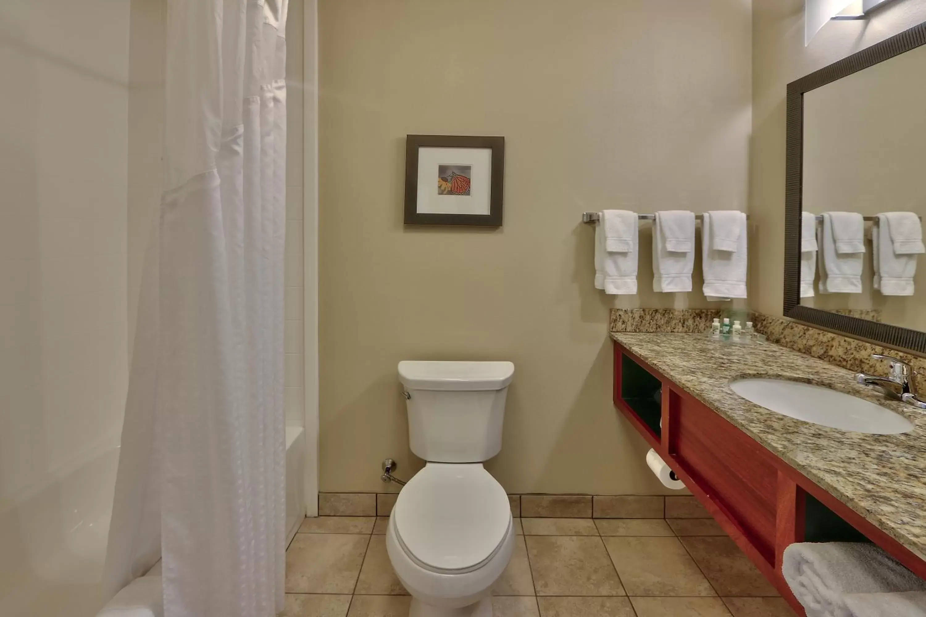 Bathroom in Holiday Inn Roswell, an IHG Hotel