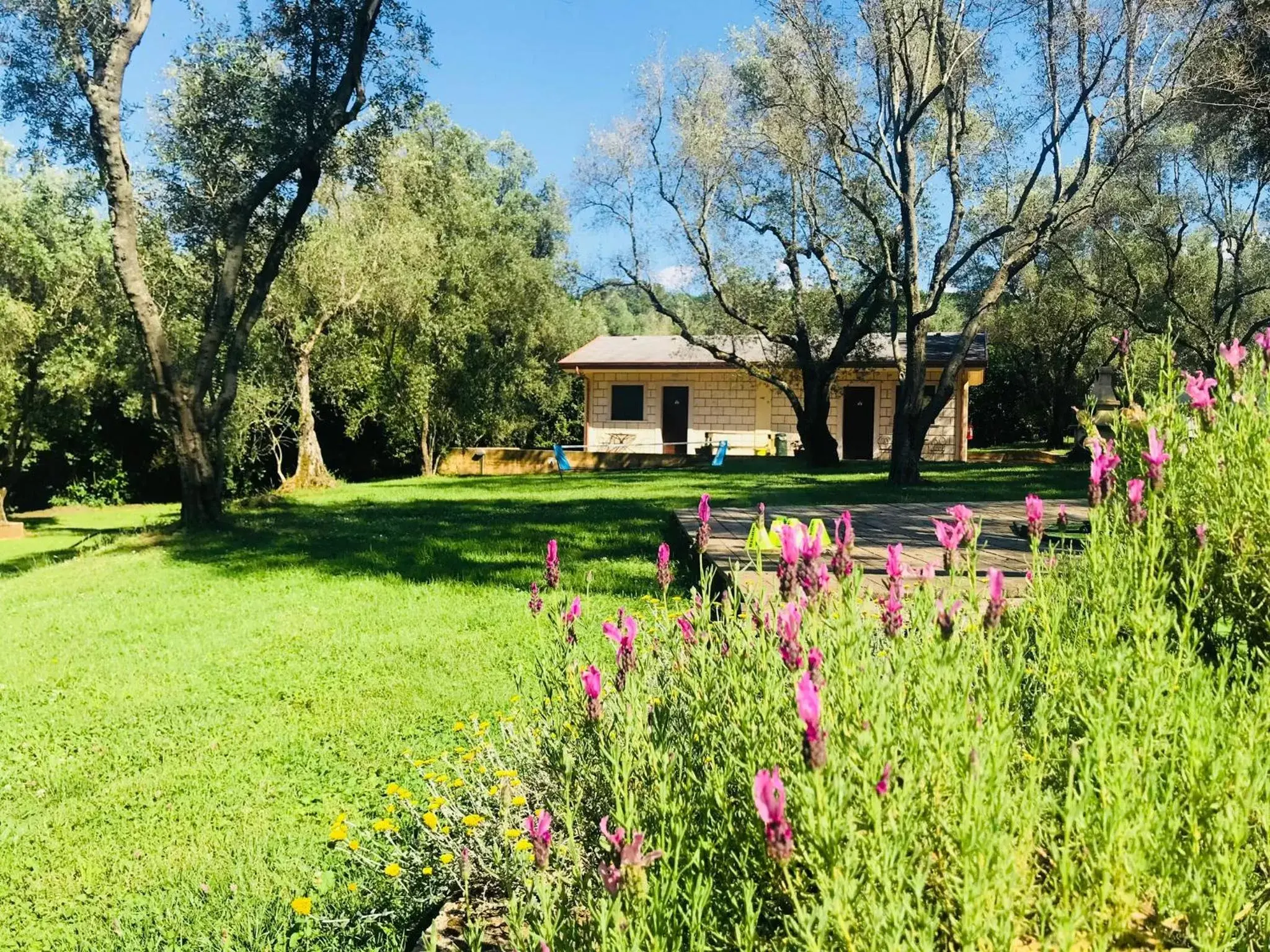 Garden, Property Building in Green Park Hotel & Residence