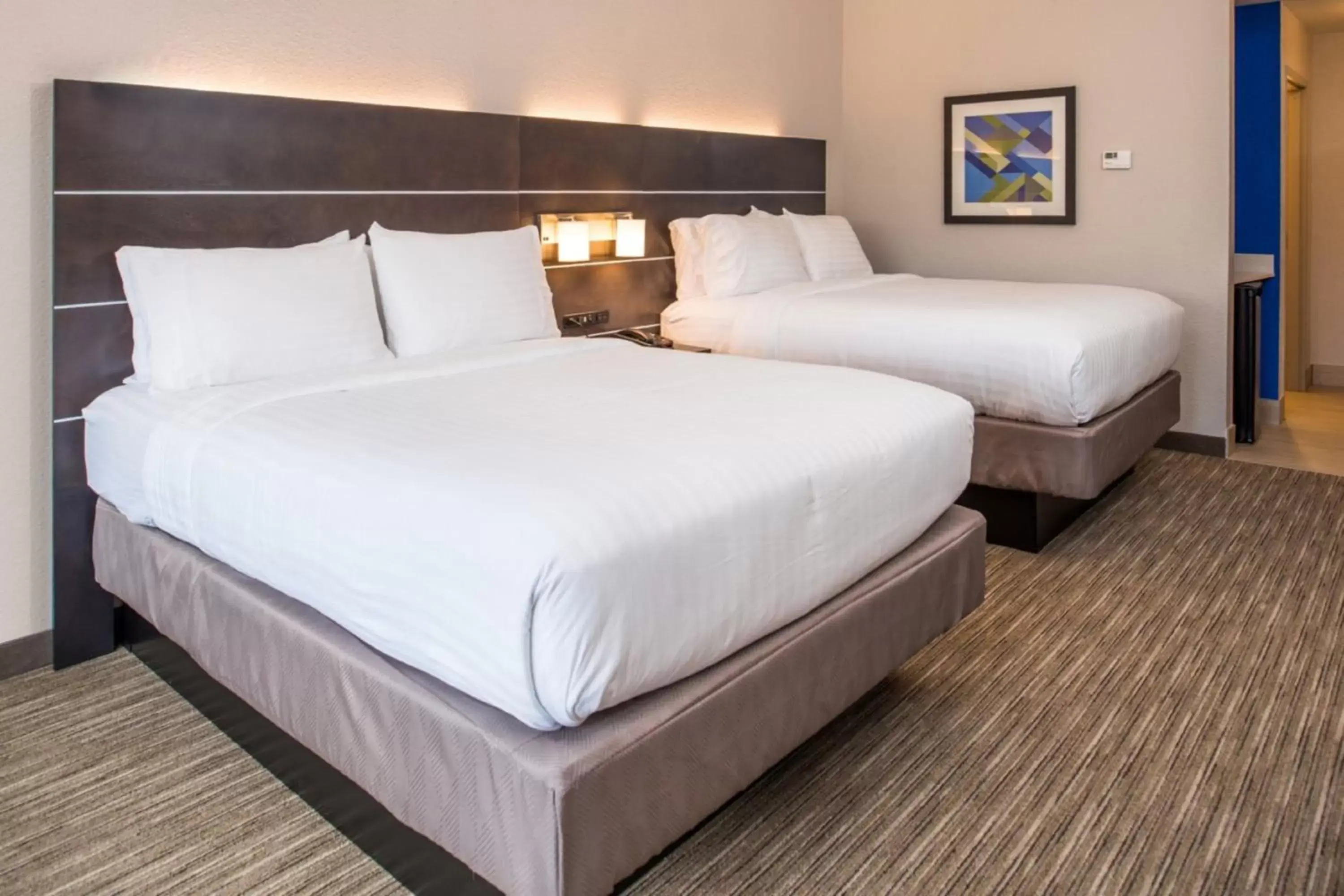 Photo of the whole room, Bed in Holiday Inn Express & Suites - Tampa North - Wesley Chapel, an IHG Hotel