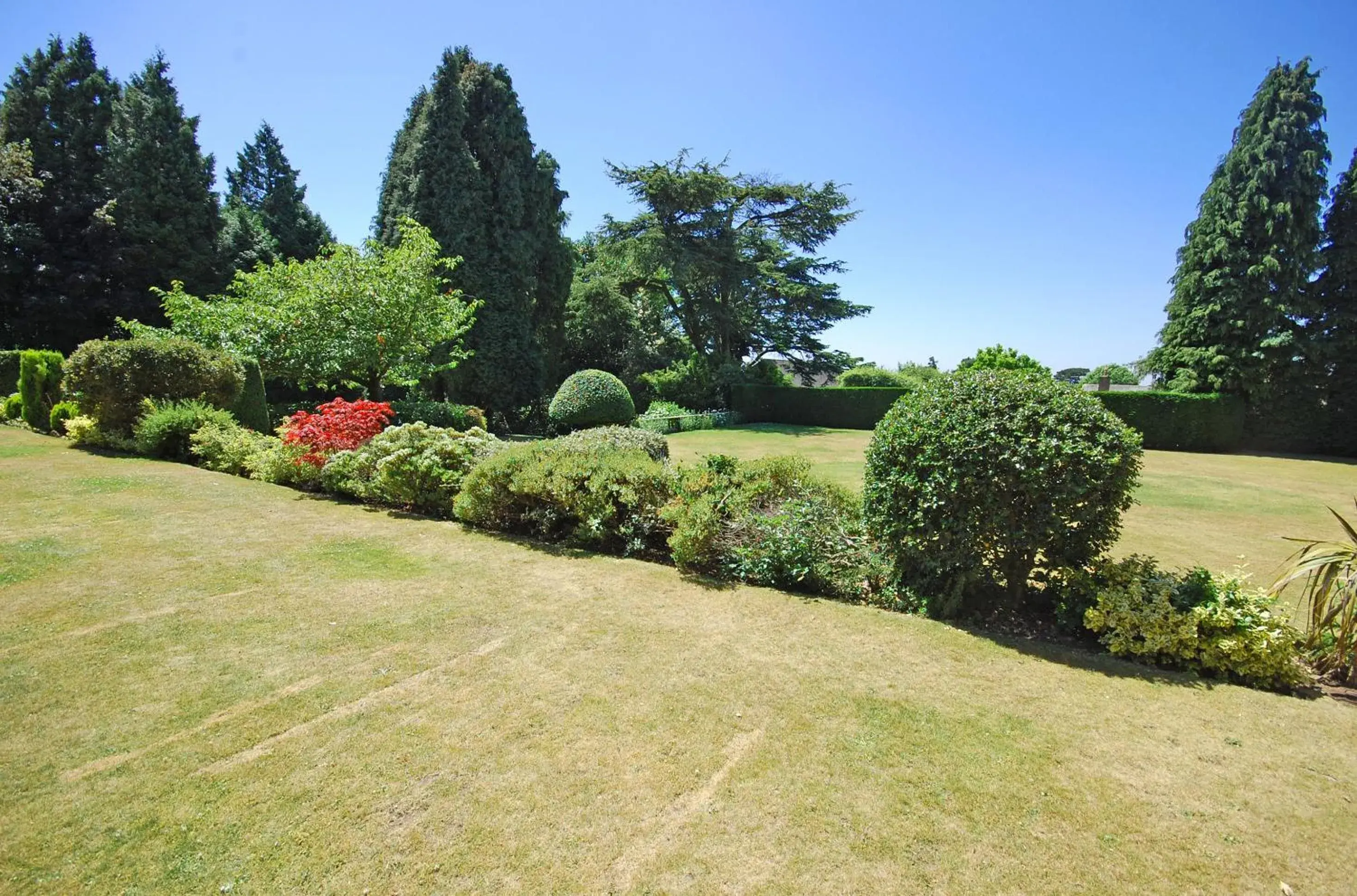 Other, Garden in The Mount Hotel