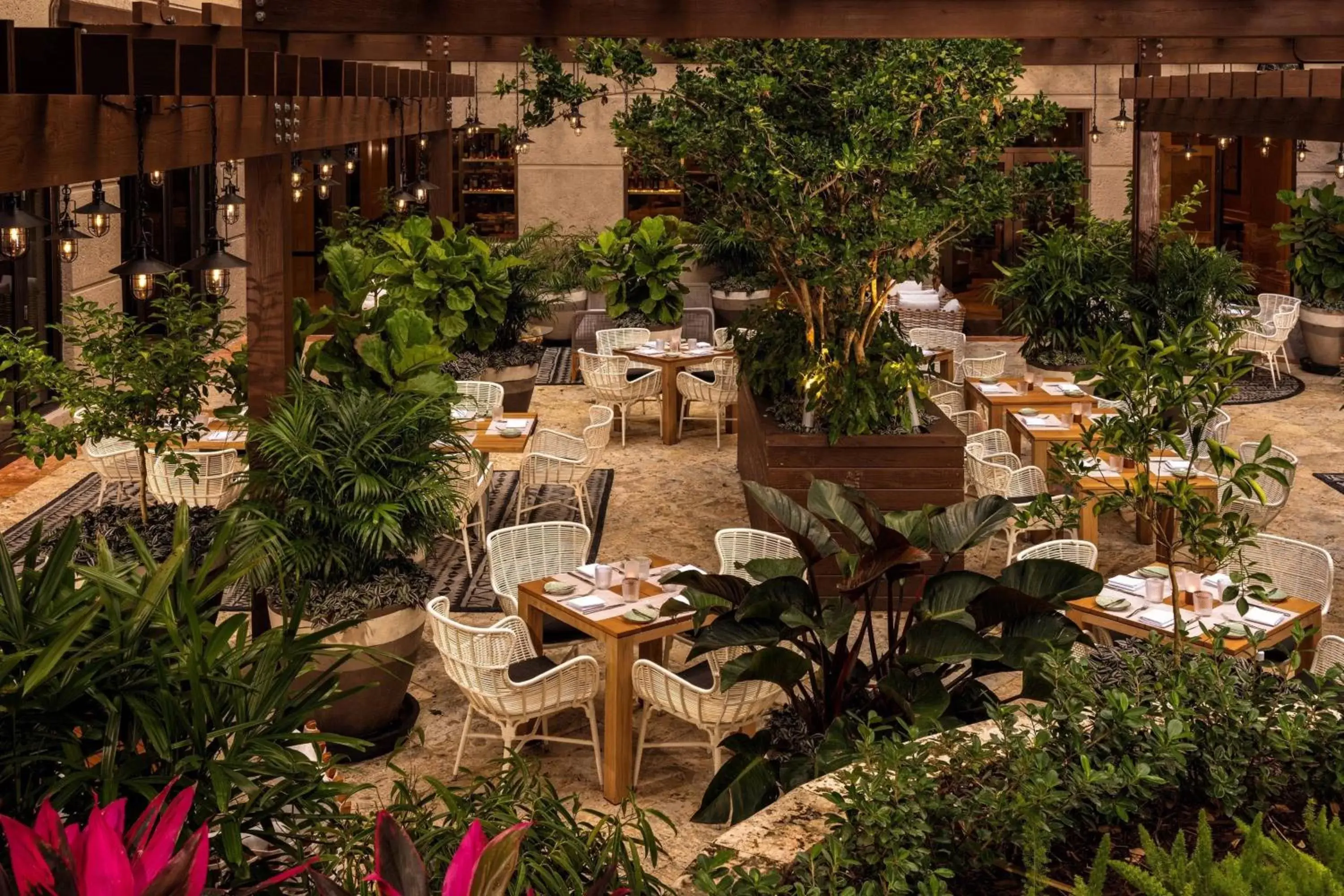 Restaurant/places to eat in The Ritz-Carlton Coconut Grove, Miami