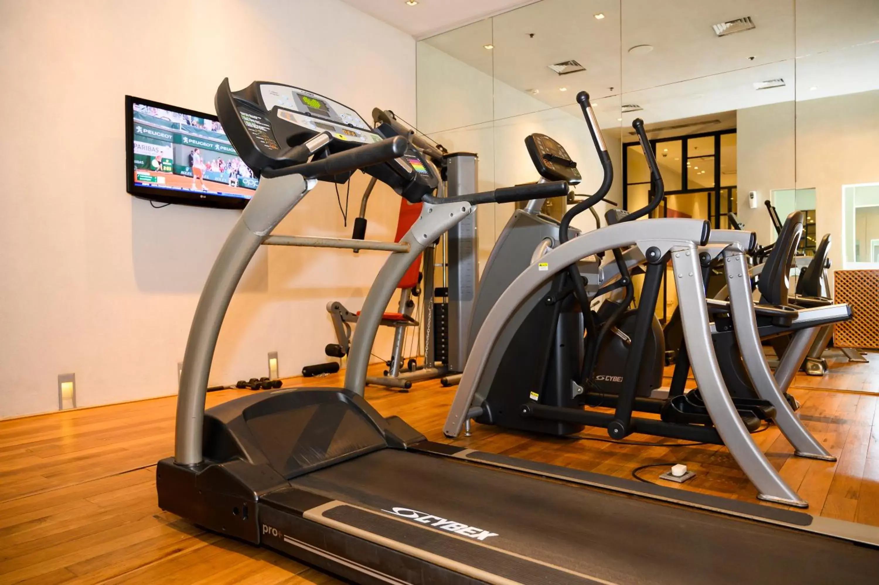 Fitness centre/facilities, Fitness Center/Facilities in Serena Hotel Buenos Aires