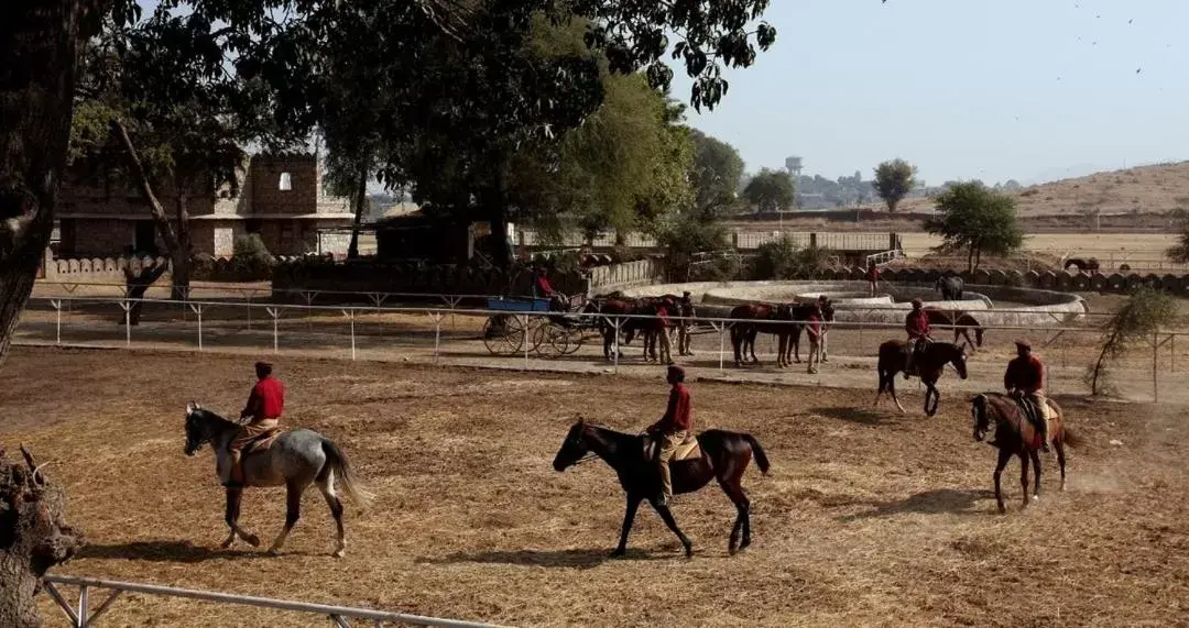 Horseback Riding in Shikarbadi Hotel - Heritage by HRH Group of Hotels