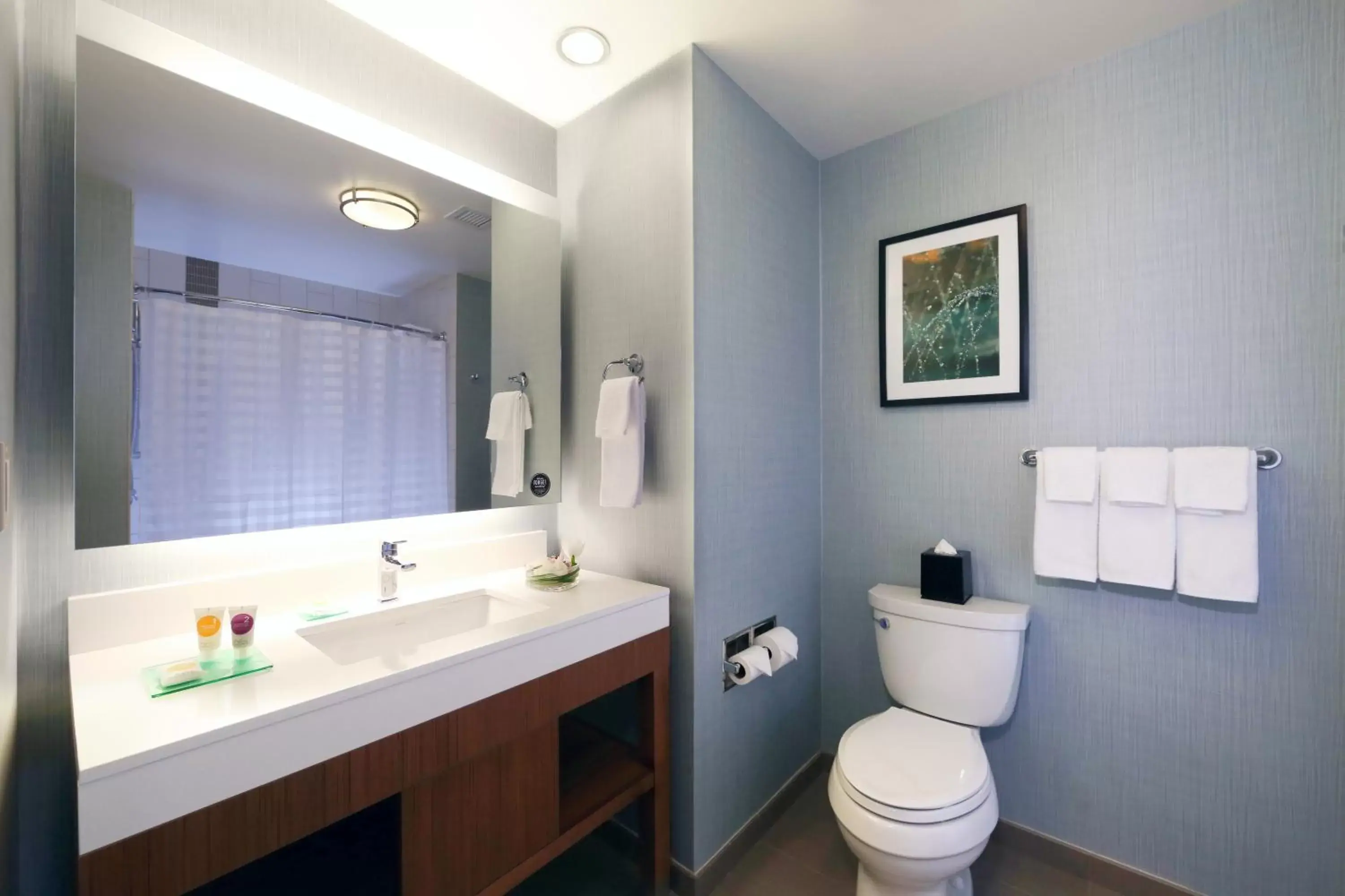 One-Bedroom King Suite with Roll-In Shower - Disability Access in Hyatt Place Flushing/LGA Airport One-Bedroom King Suite with Roll-In Shower - Disability Access in Hyatt Place Flushing/LGA Airport