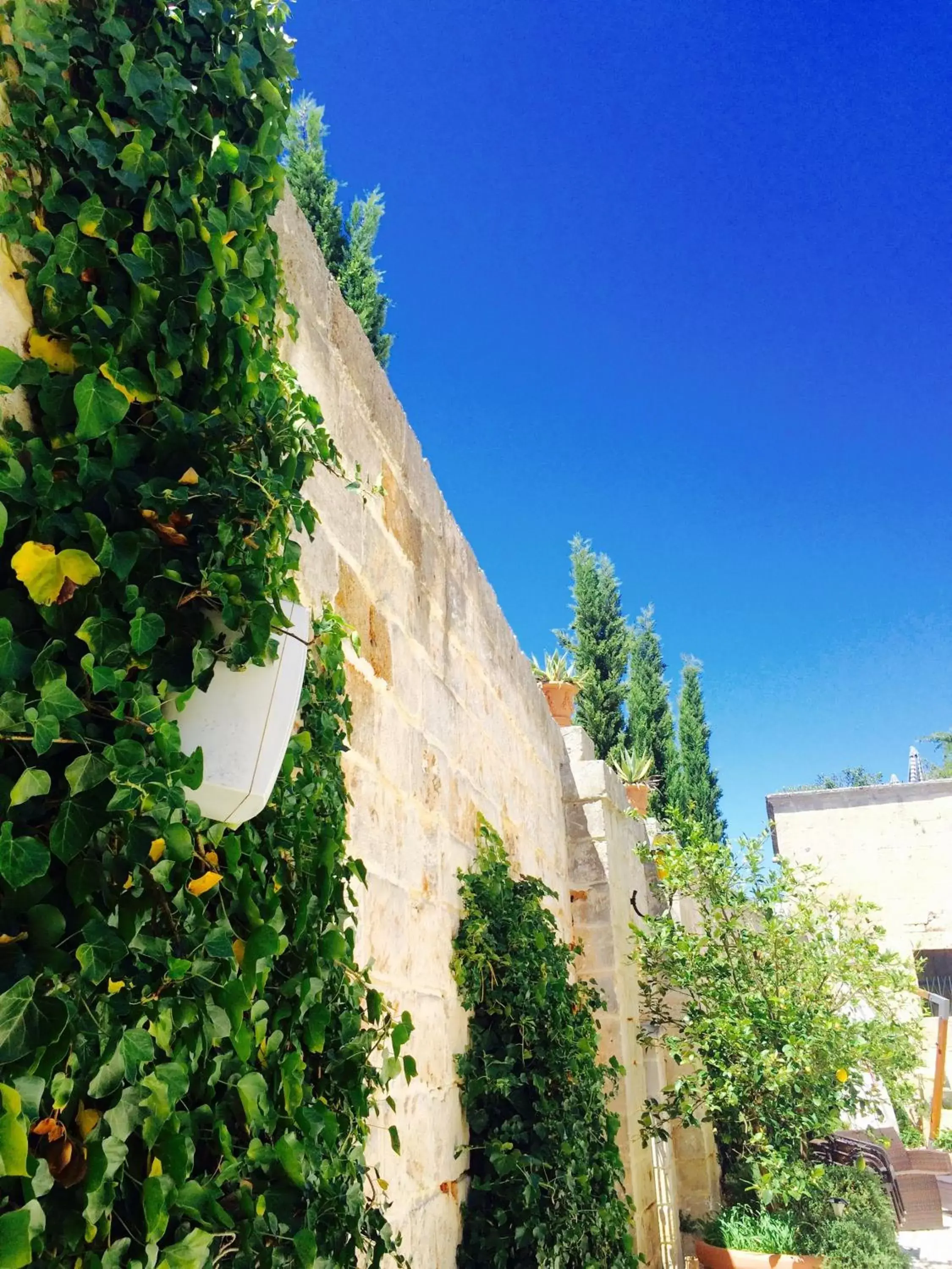 Garden, Property Building in Castello Conti Filo