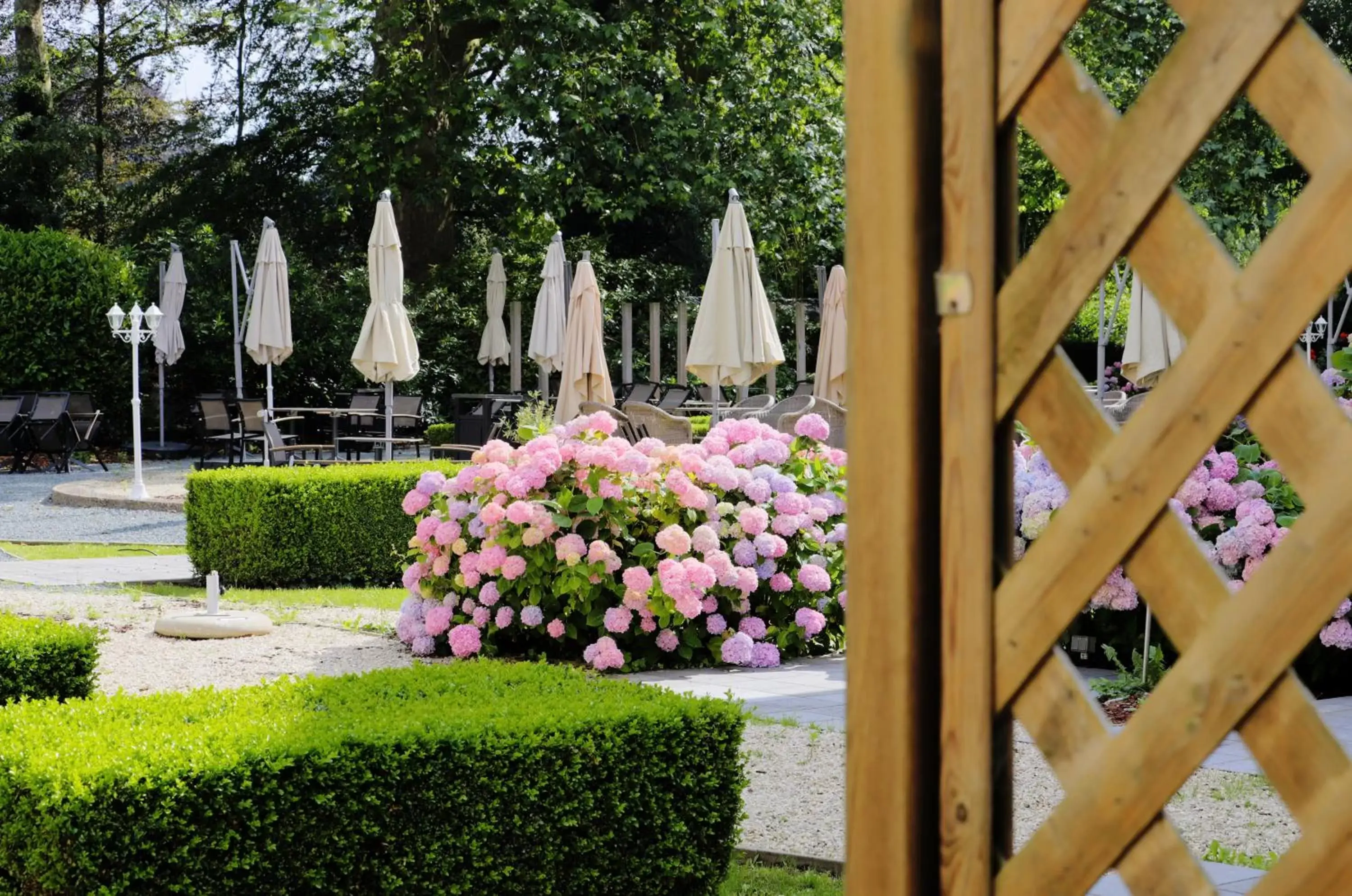 Garden in Auberge du Vieux Cedre