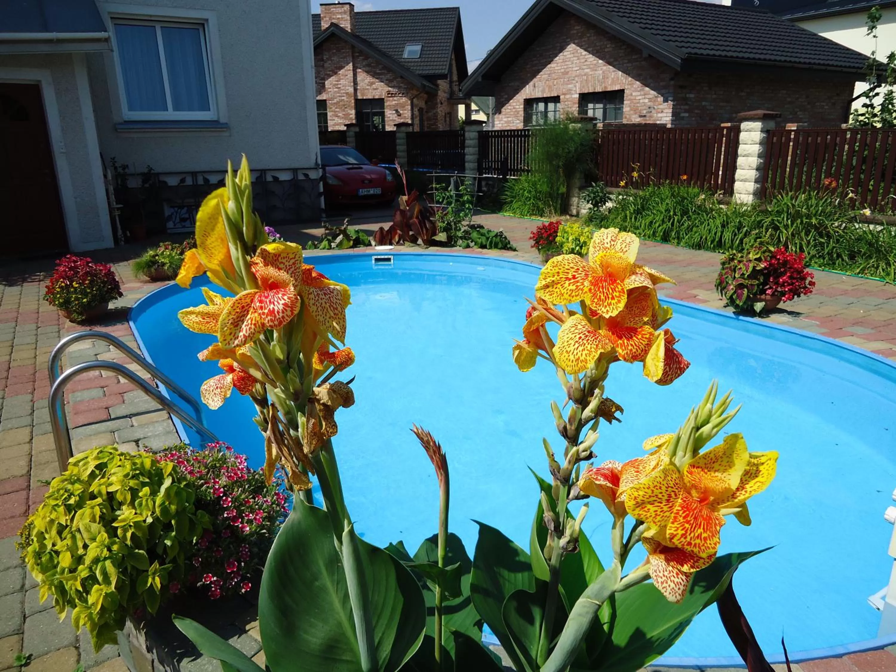 Swimming Pool in Guest House Linas