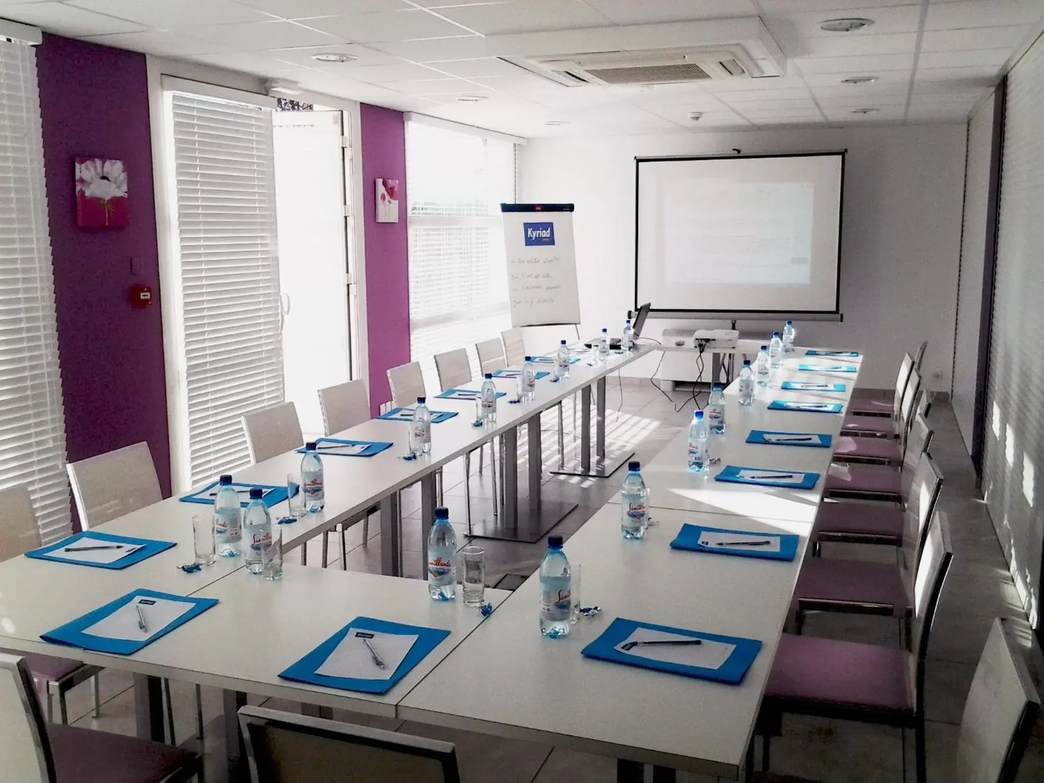 Business facilities in Kyriad Perpignan Sud