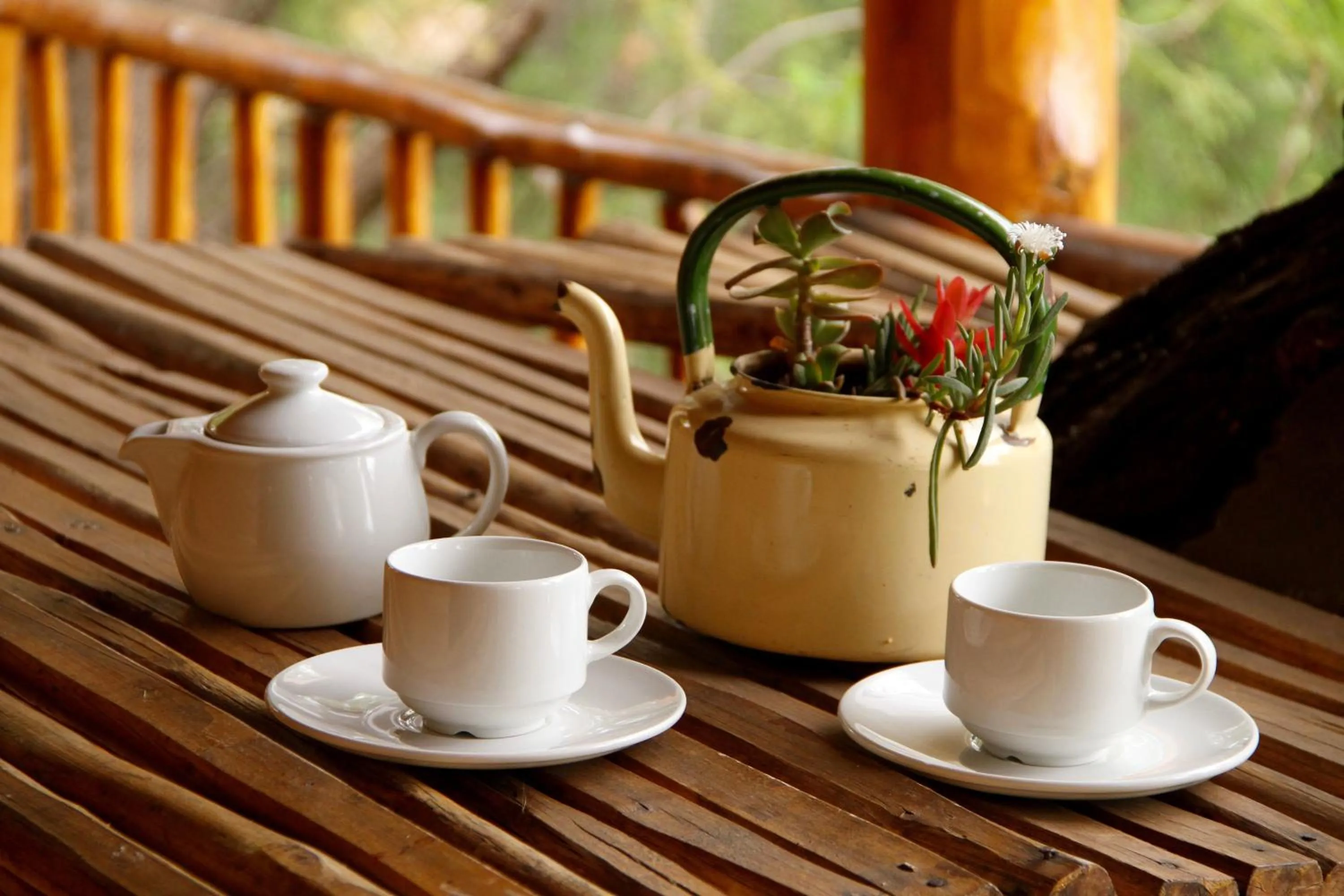 Decorative detail in Riverside Guest Lodge