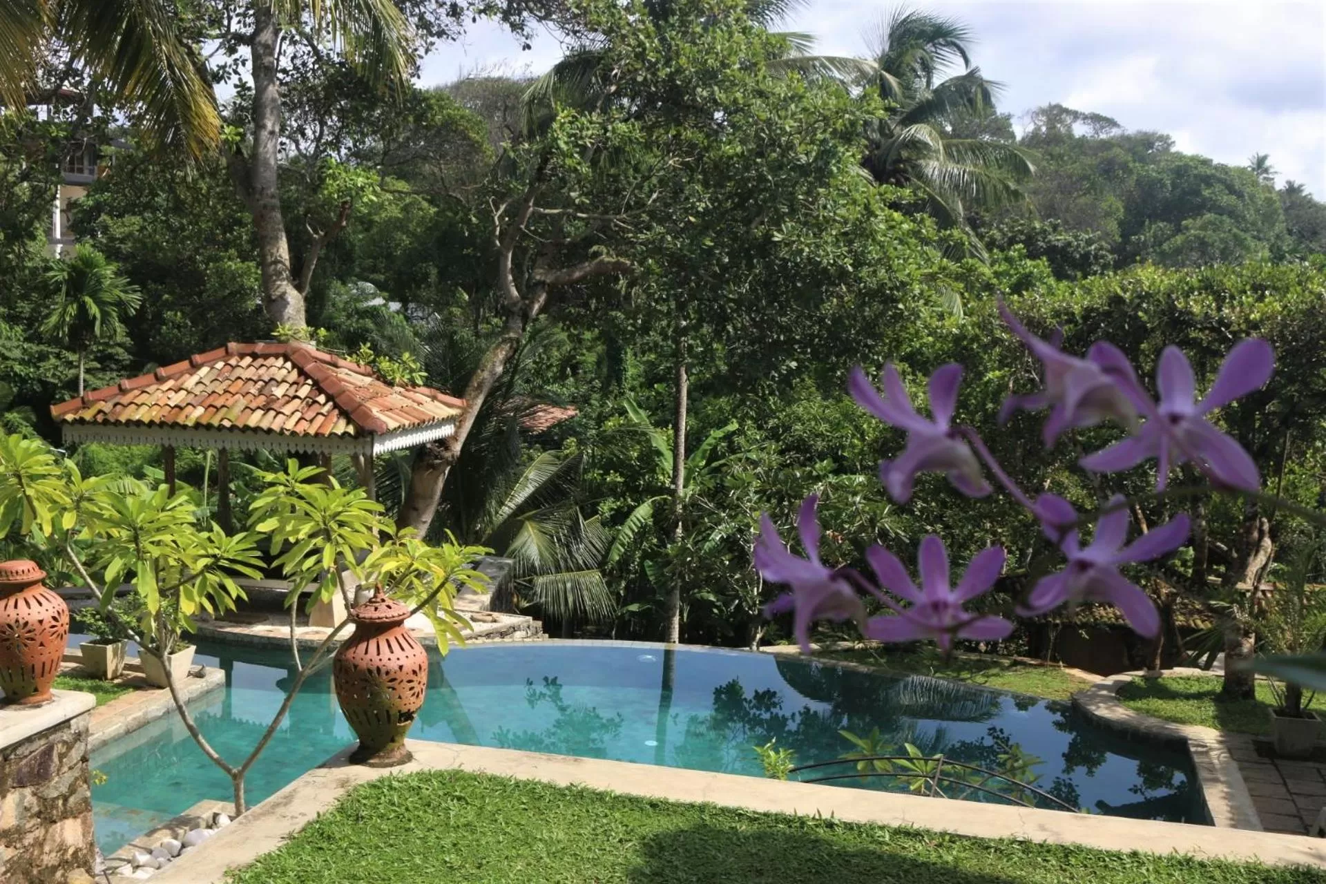 Garden view in The Spice House Mirissa