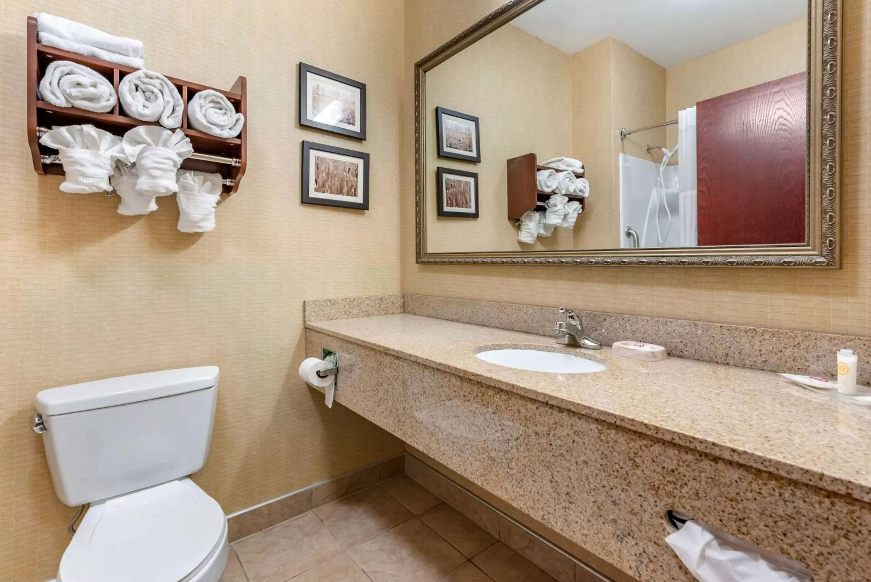 Bathroom in Comfort Suites South Elkhart
