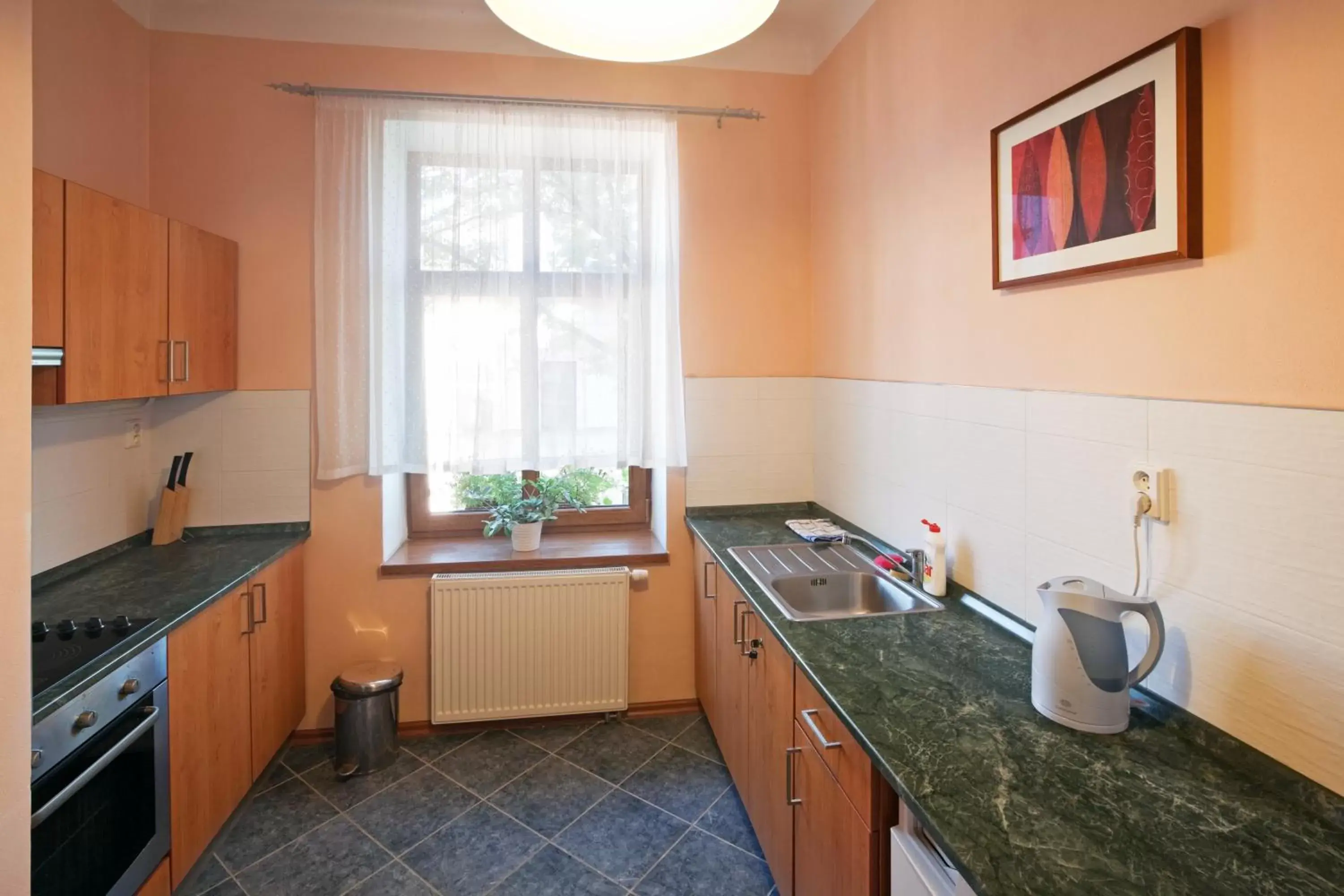 Kitchen or kitchenette, Kitchen/Kitchenette in Pytloun Self Check-in Hotel Liberec