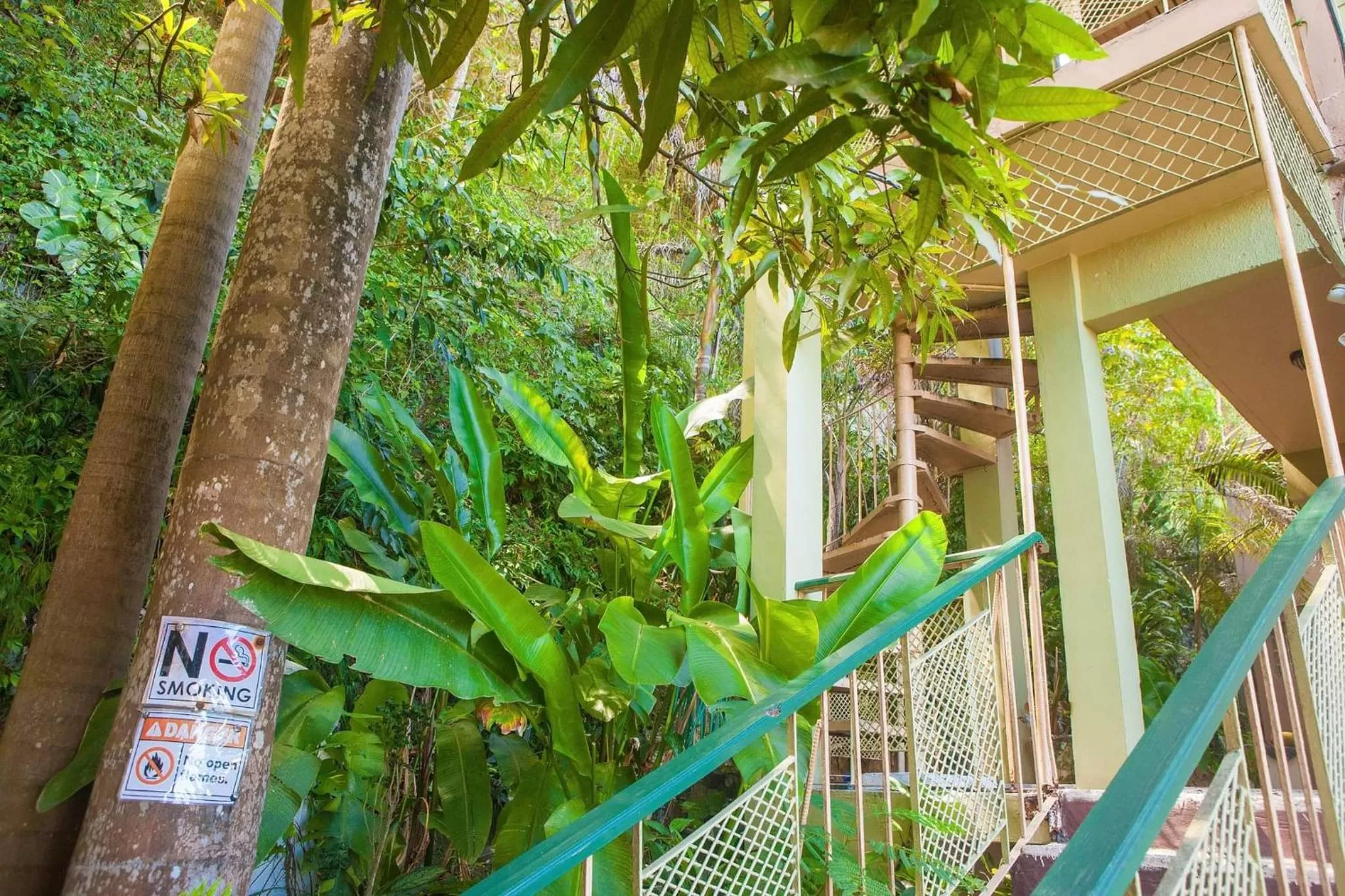 Garden in Caribic House