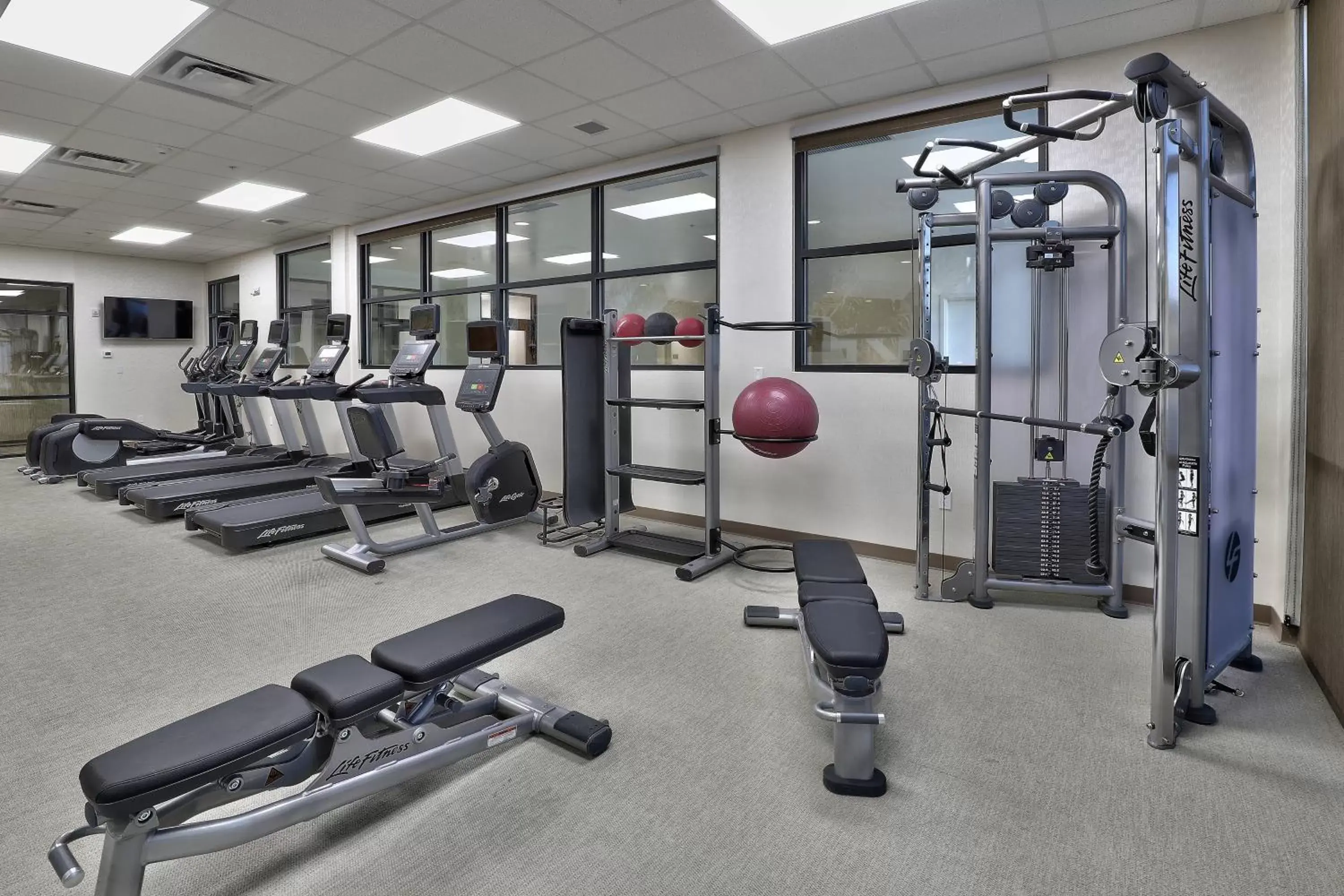 Fitness centre/facilities, Fitness Center/Facilities in SpringHill Suites Durango