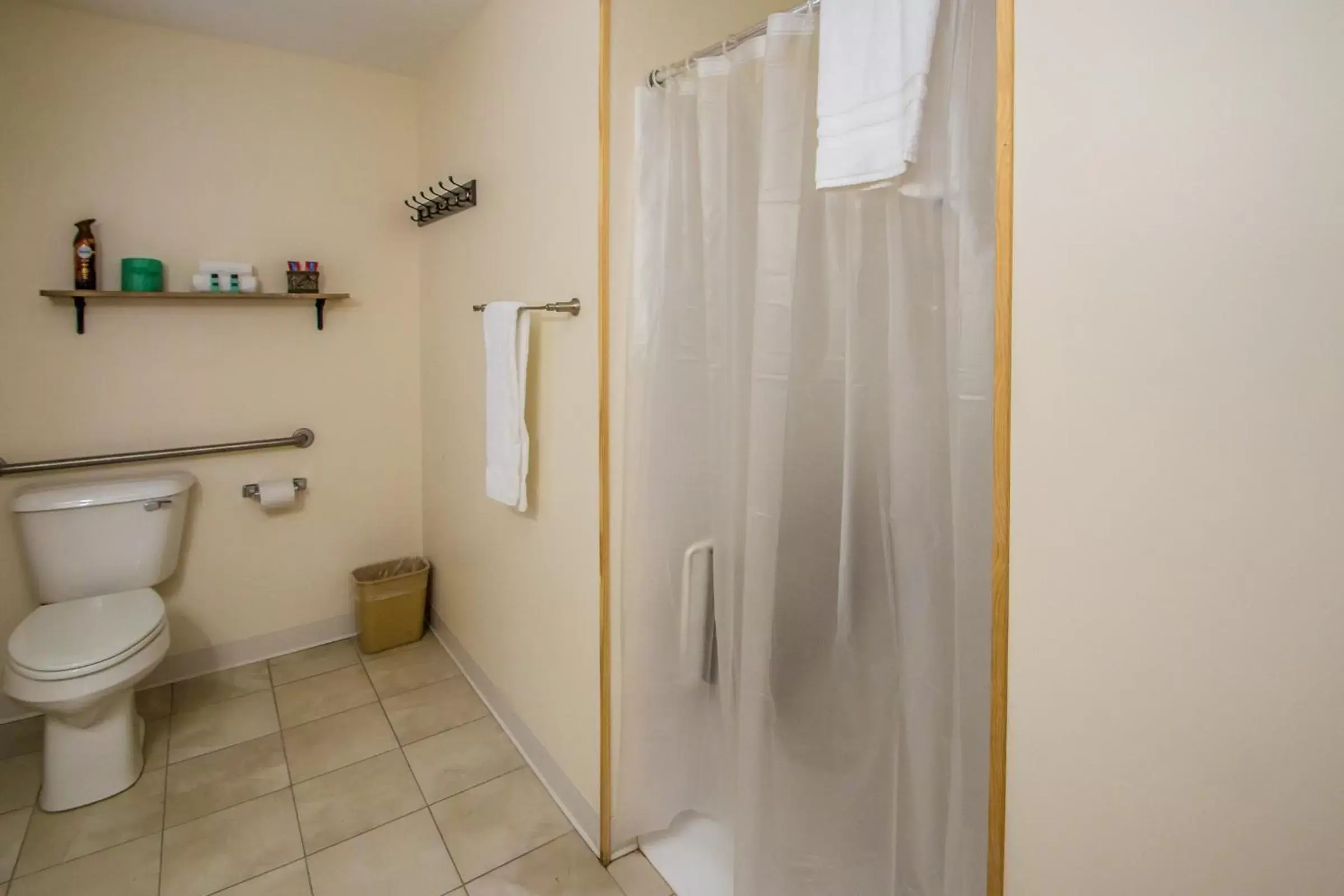 Bathroom in Presidential Mountain Resort