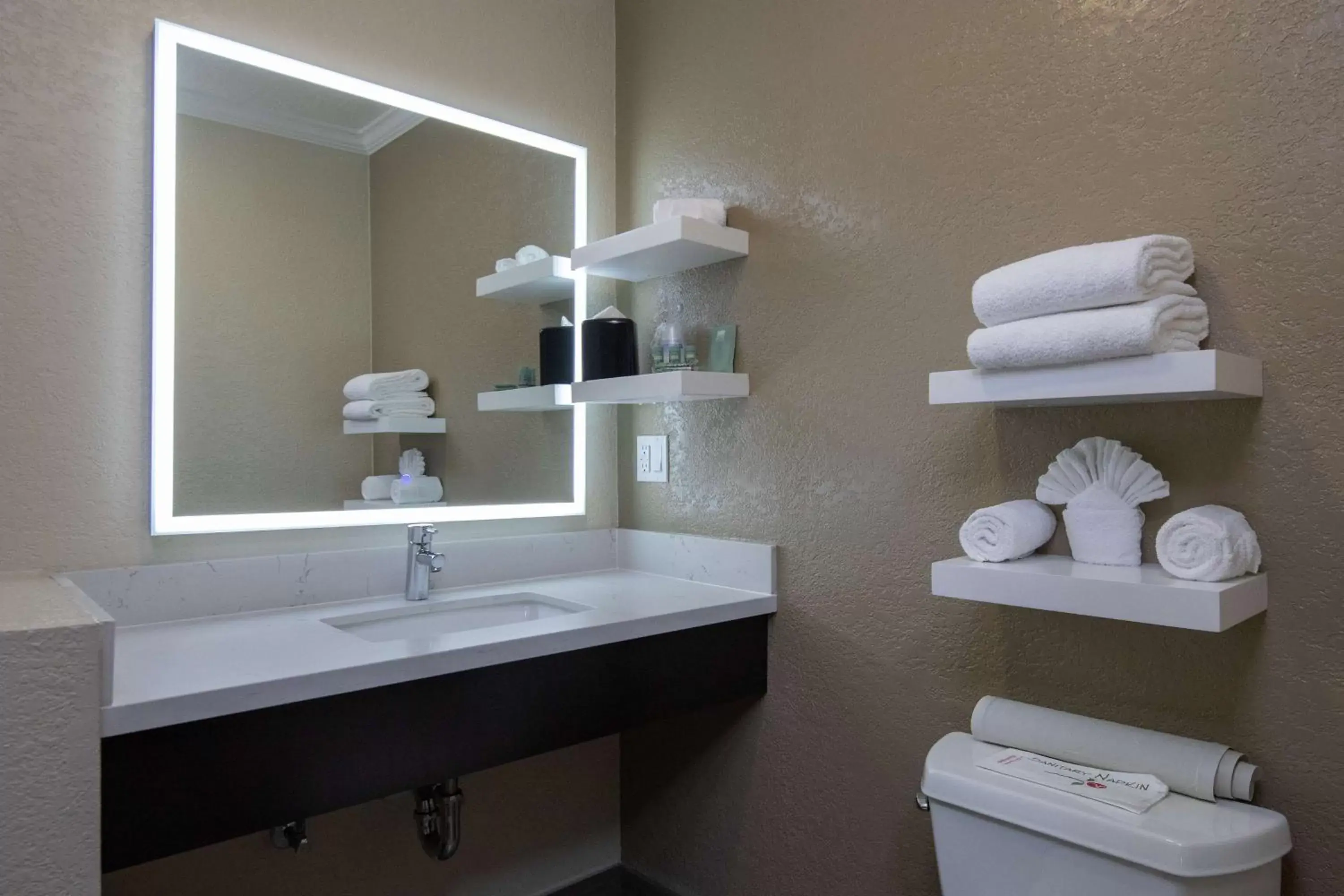 Bathroom in Best Western Silicon Valley Inn
