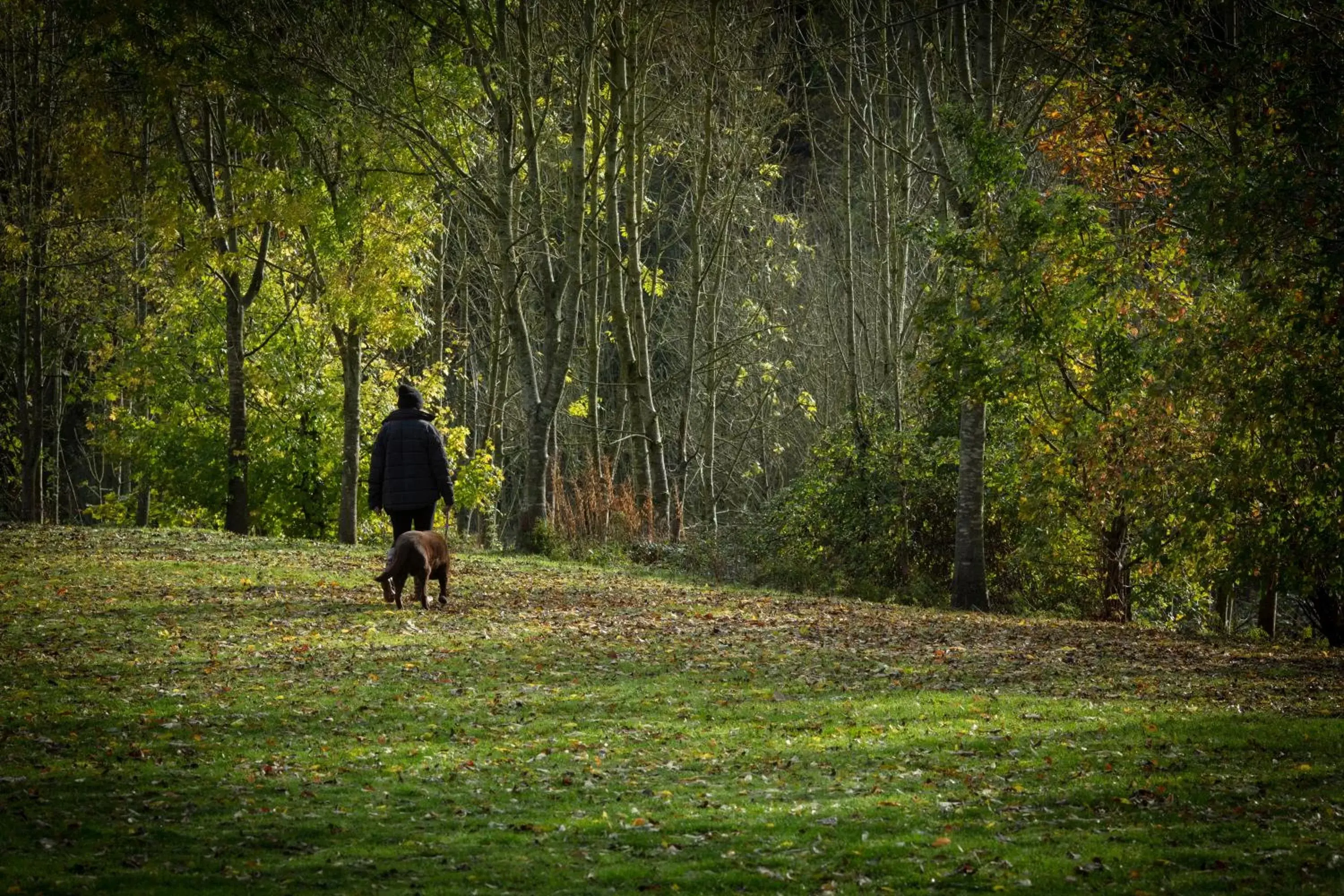 Natural landscape in Chesford Grange Hotel