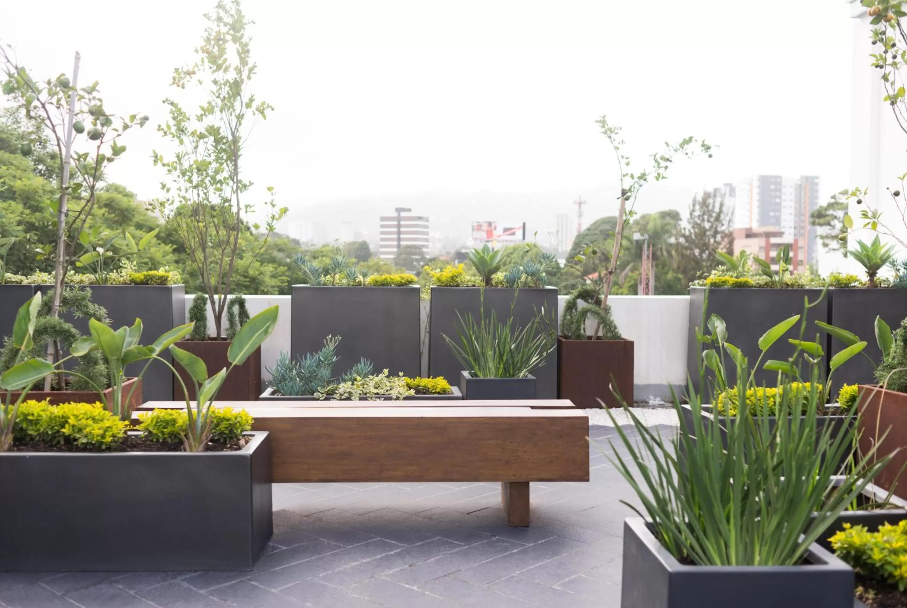 Restaurant/places to eat in La Inmaculada Hotel