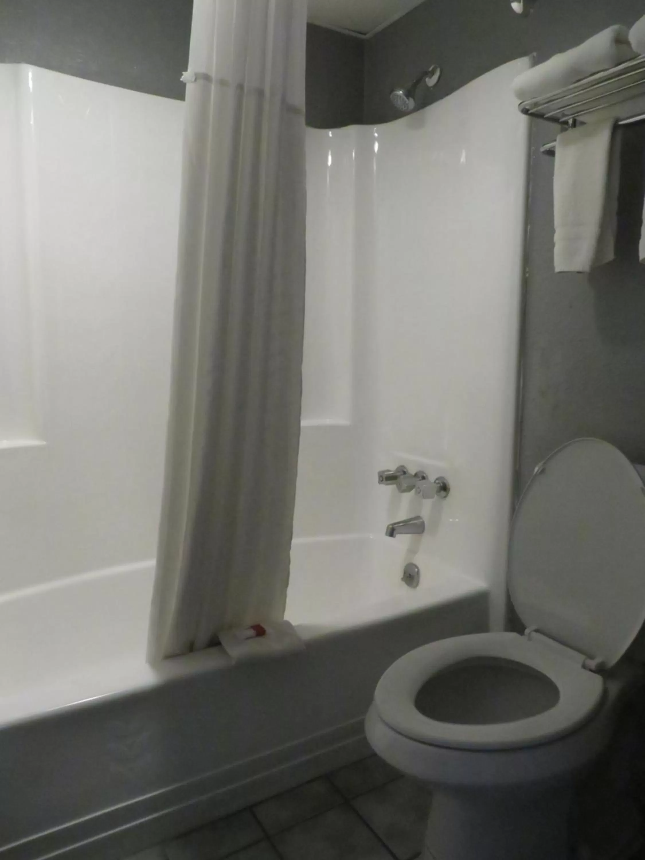 Bathroom in Travelodge by Wyndham Walterboro