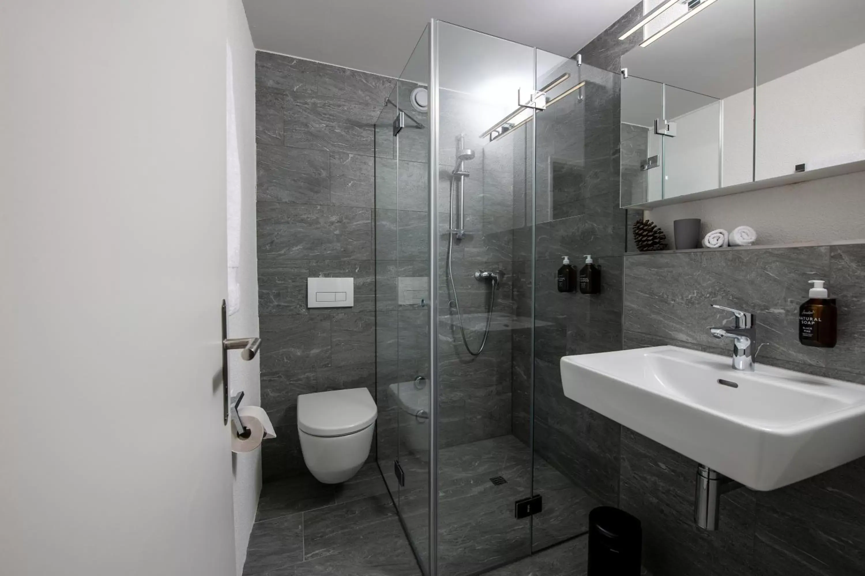 Bathroom in Flem Mountain Lodge