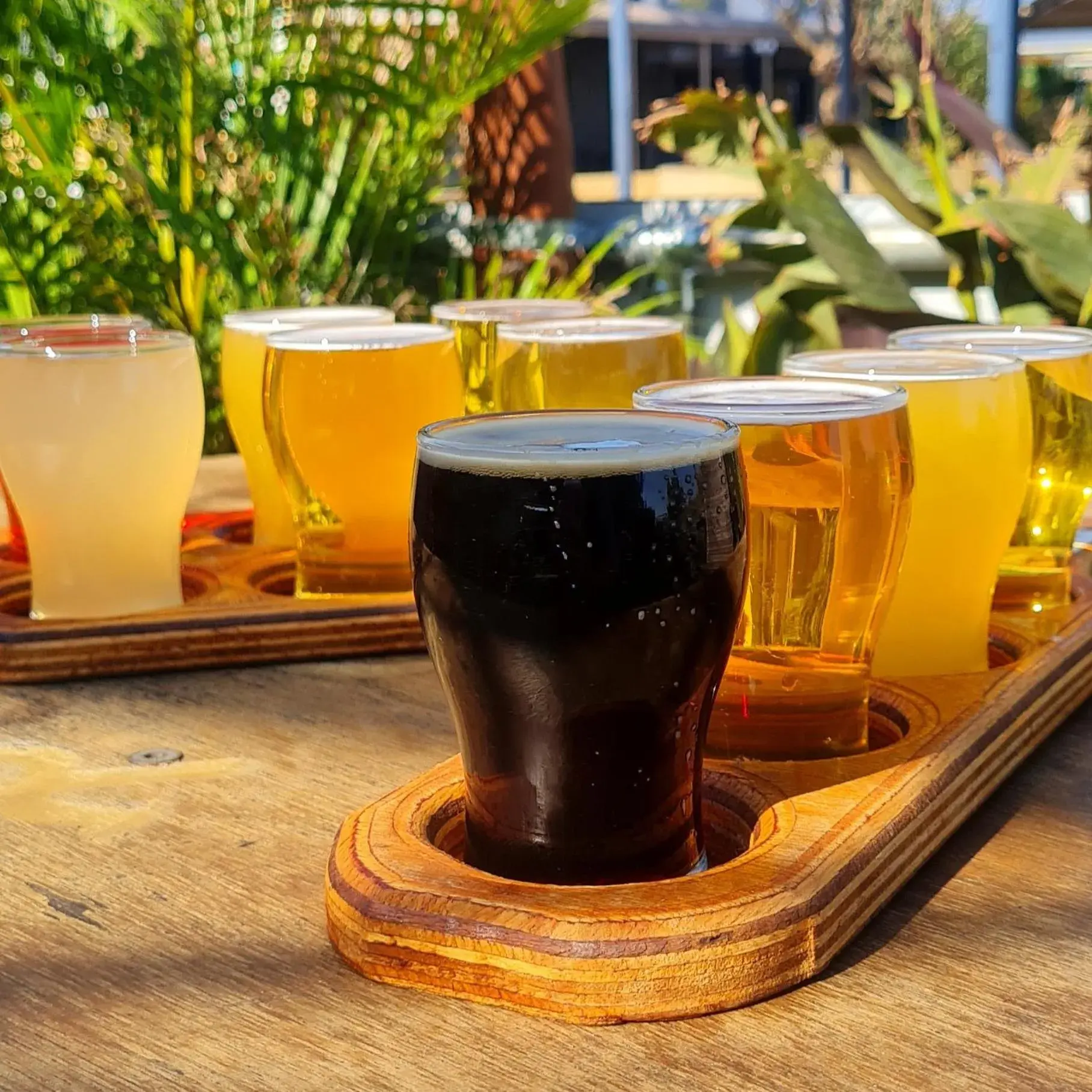 Drinks in Ningaloo Lodge Exmouth