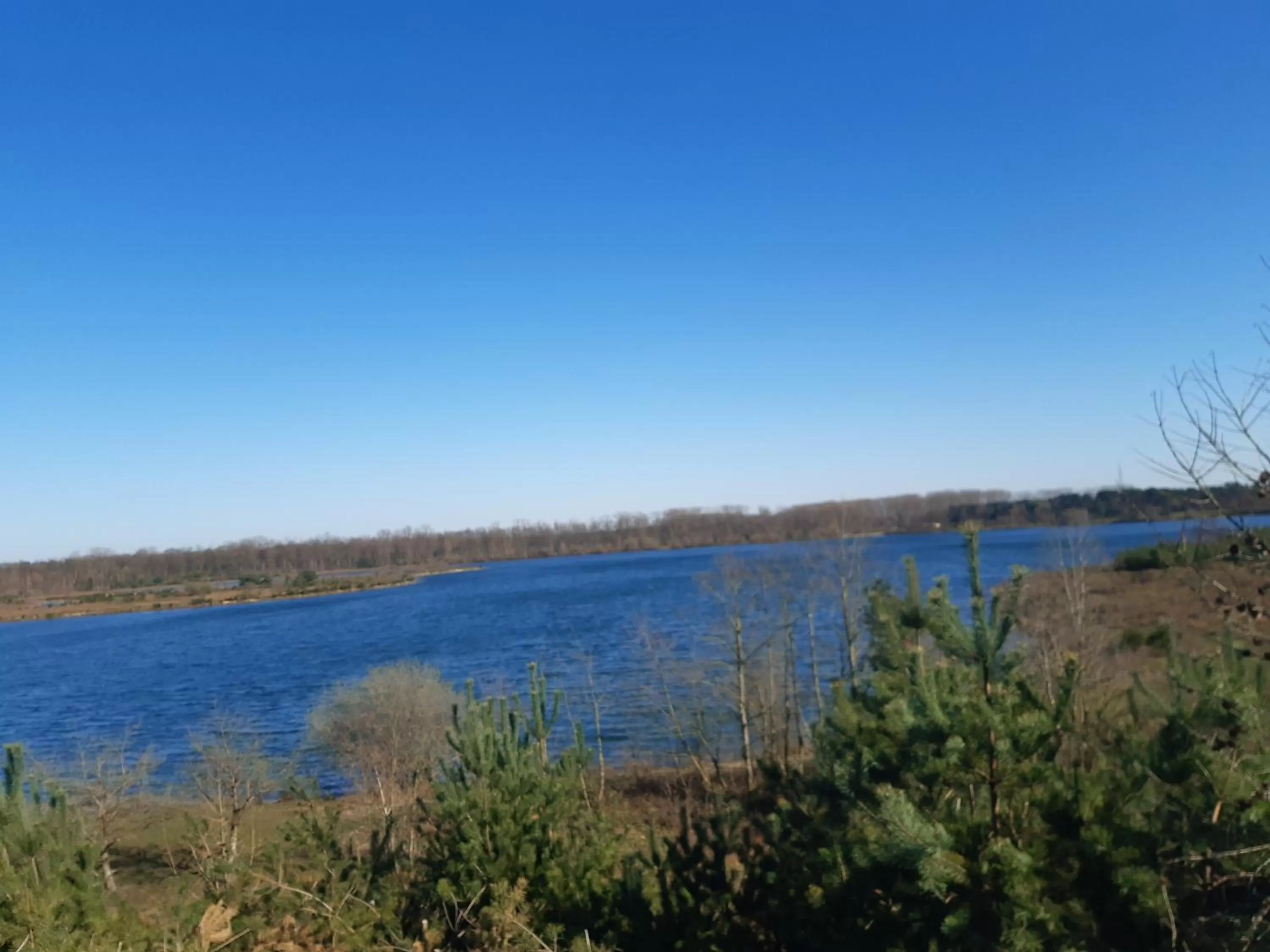 Natural landscape in B&B Orgel Thuis
