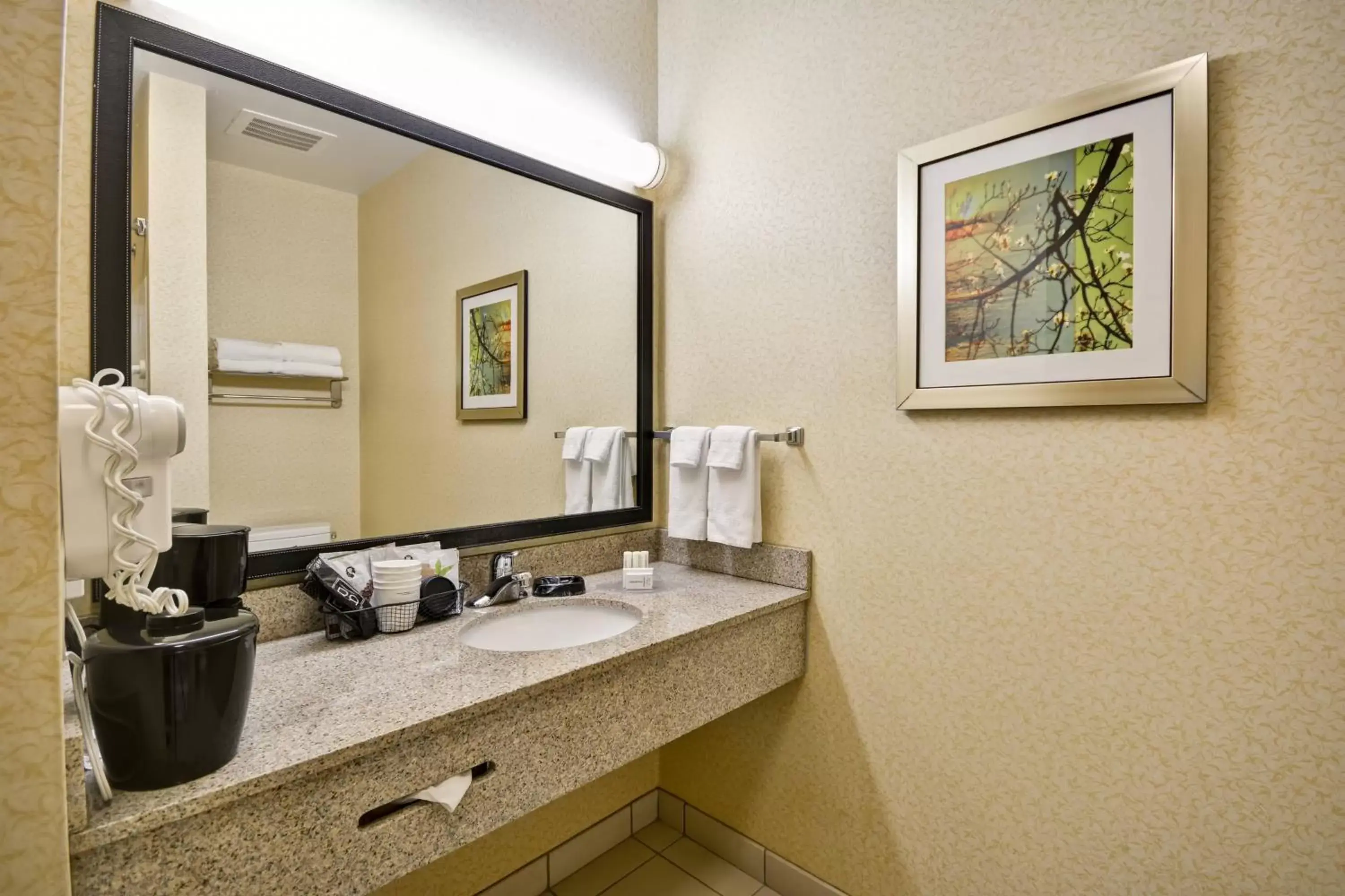 Bathroom in Fairfield Inn and Suites by Marriott Birmingham Fultondale / I-65