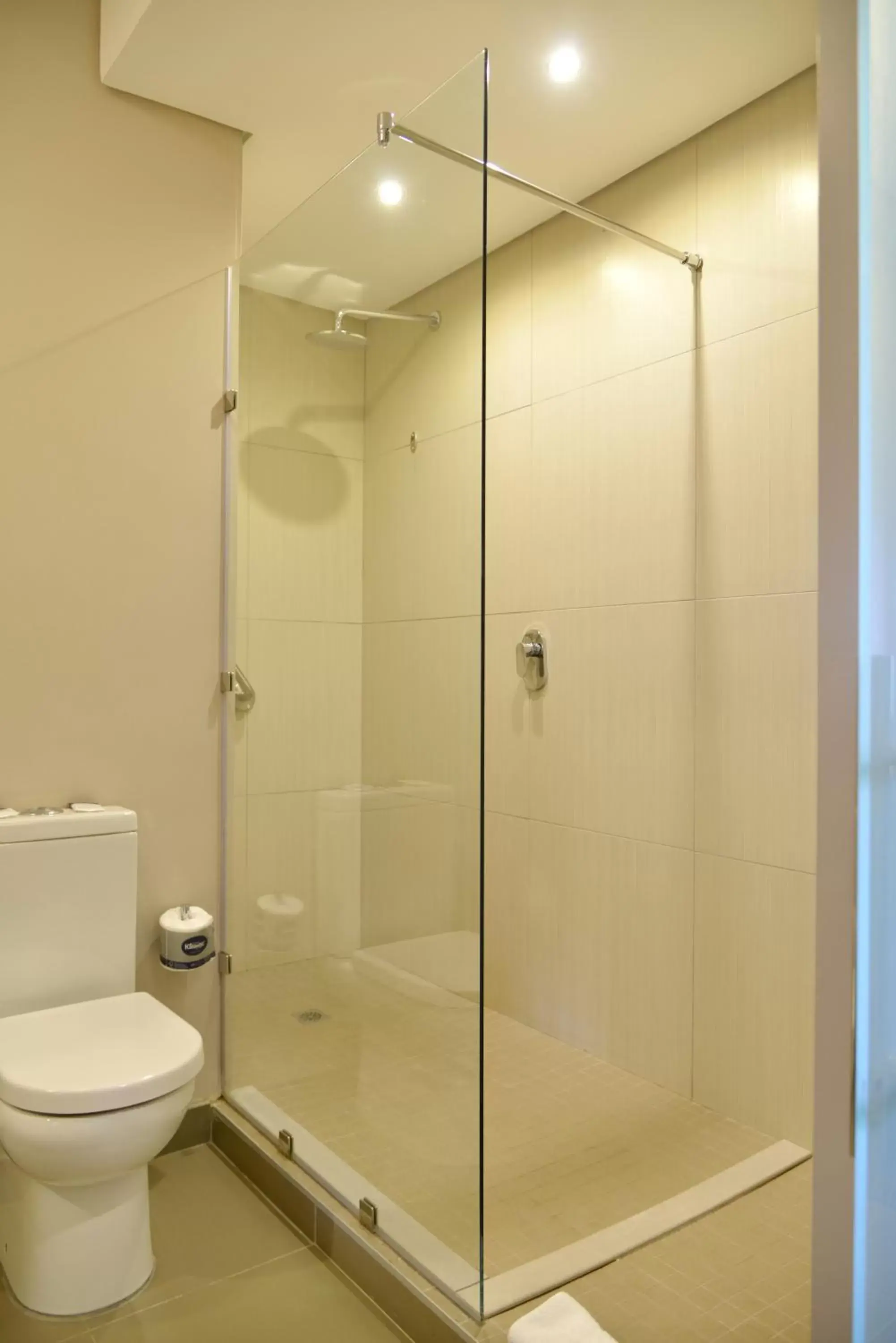 Shower, Bathroom in ANEW Hotel Hatfield Pretoria