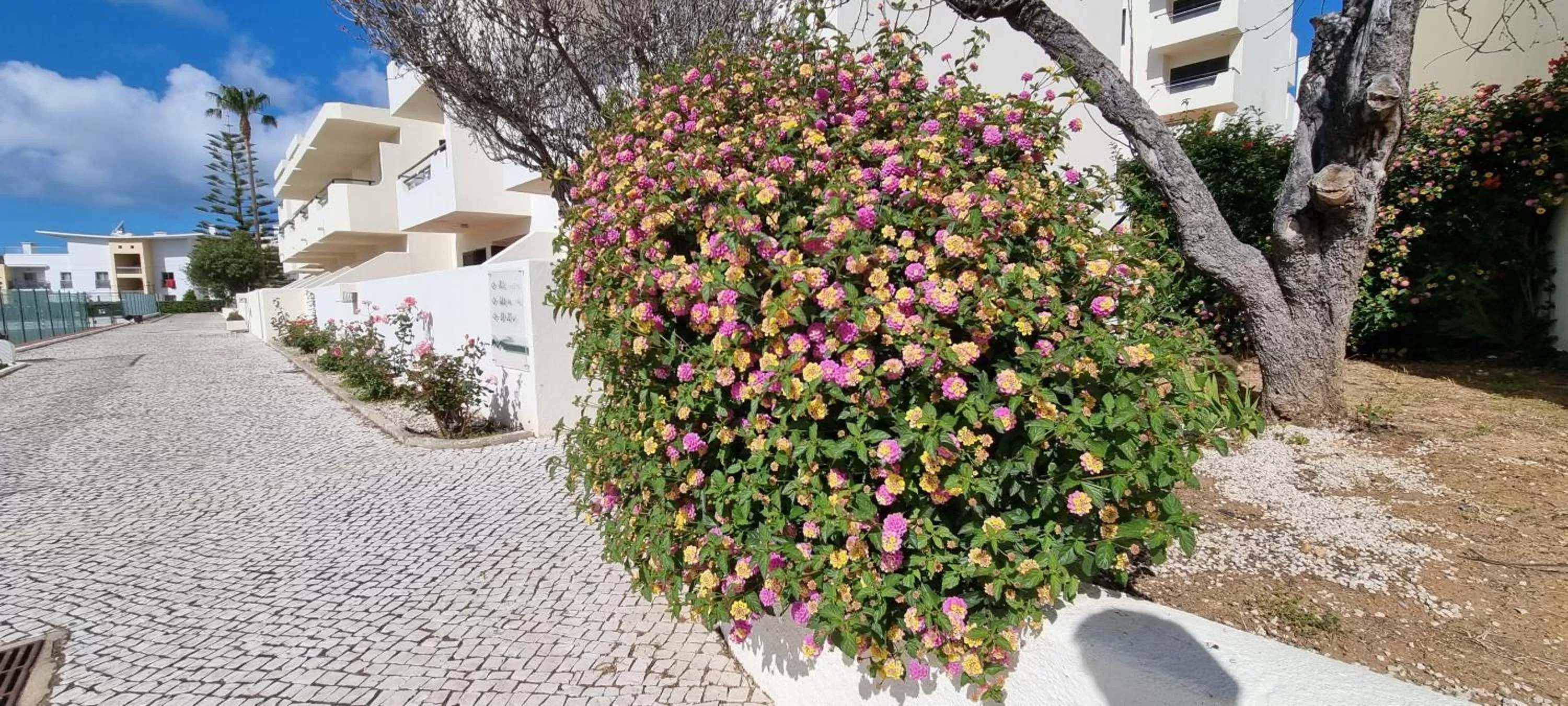 Albufeira Jardim by Umbral