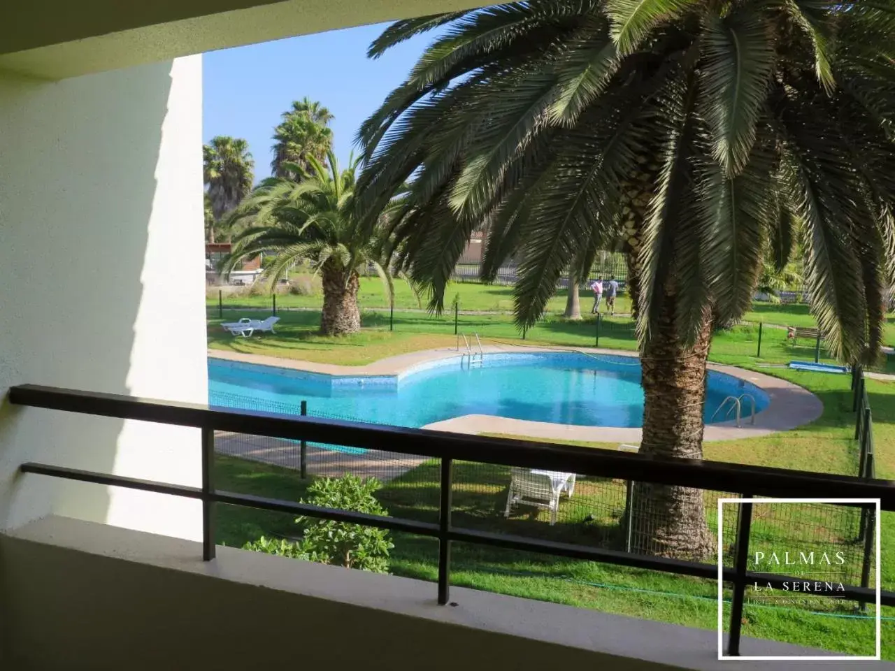 Pool View in Hotel Palmas de La Serena