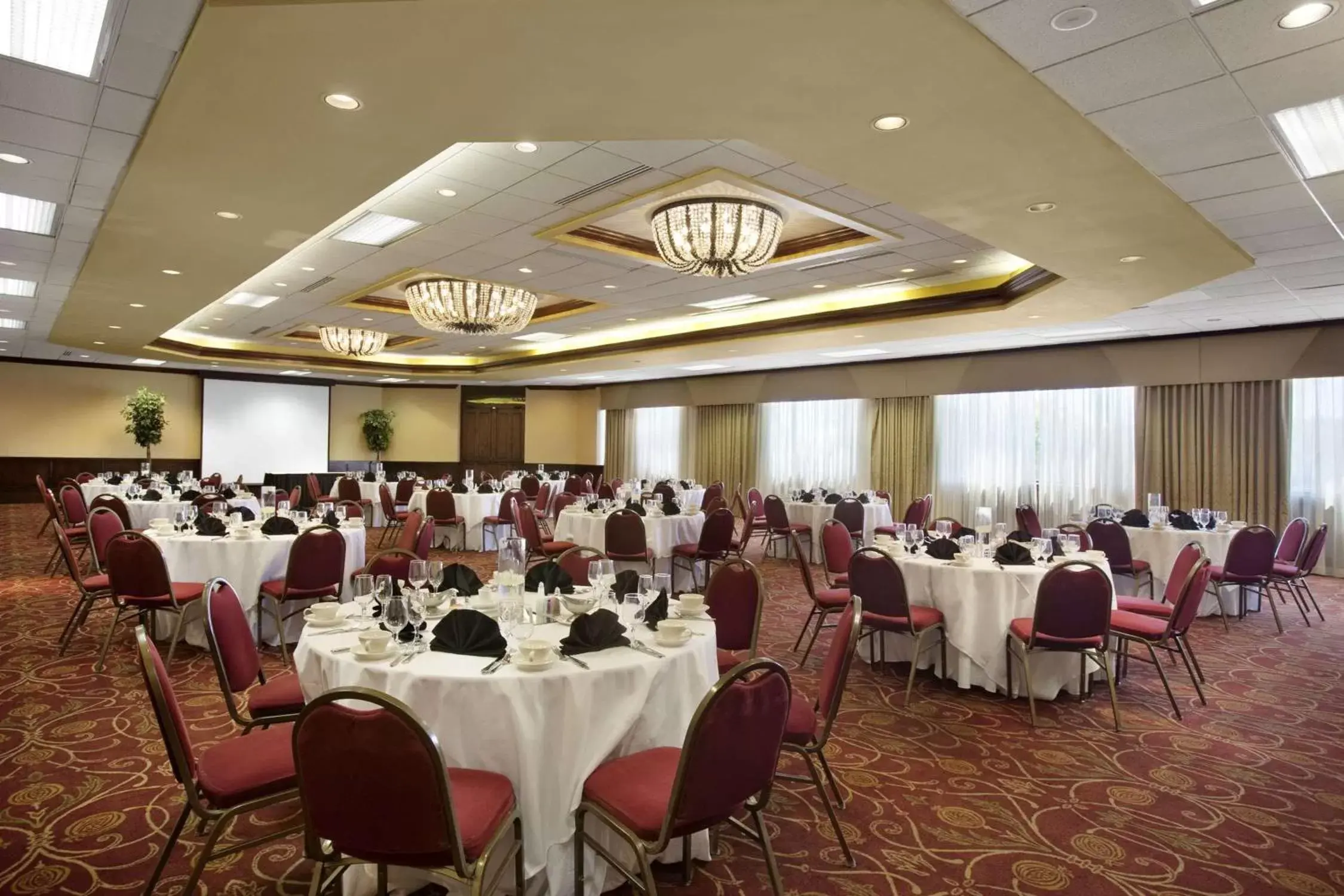Meeting/conference room, Banquet Facilities in Embassy Suites by Hilton Columbia Greystone
