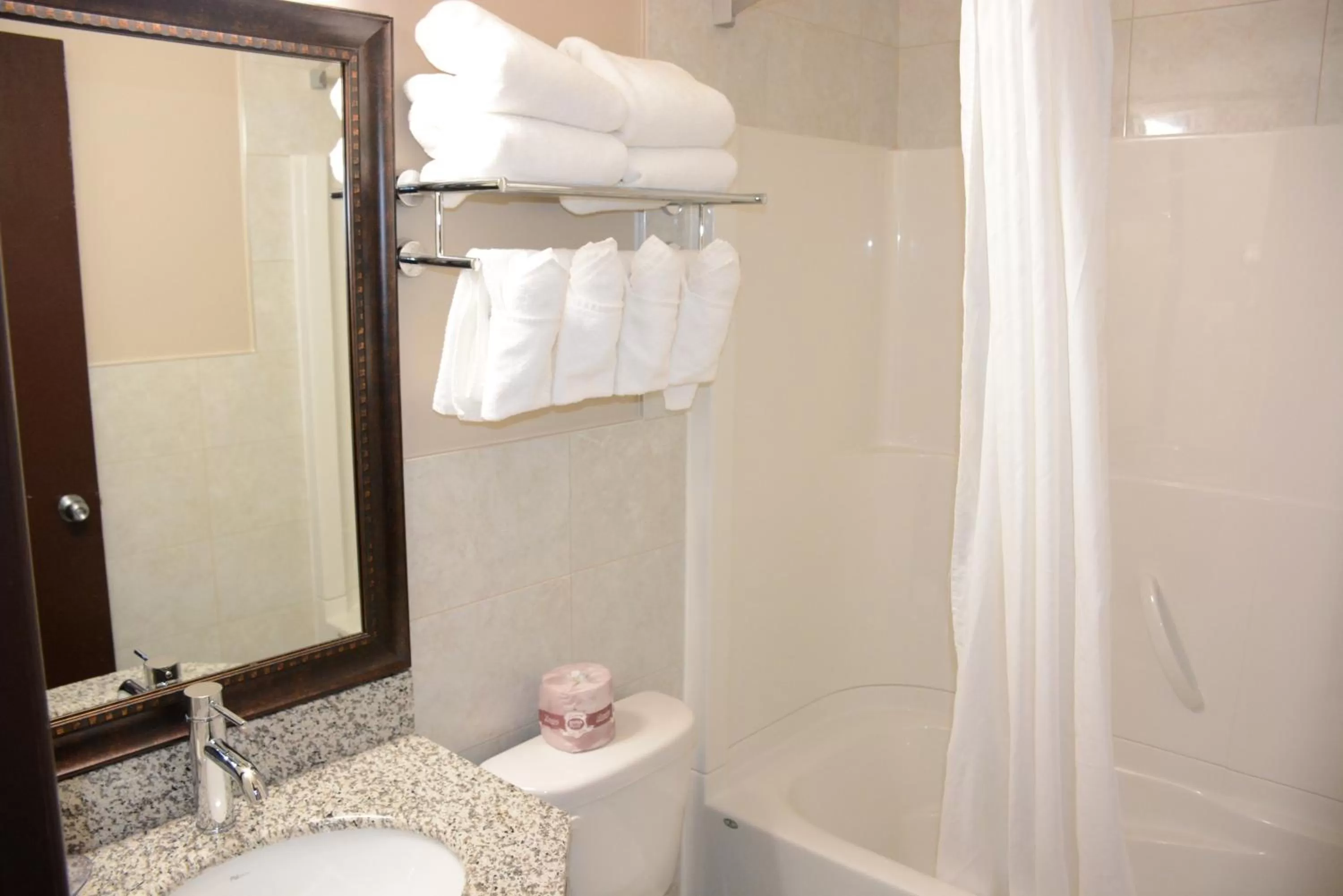 Bathroom in Travelodge by Wyndham Lethbridge