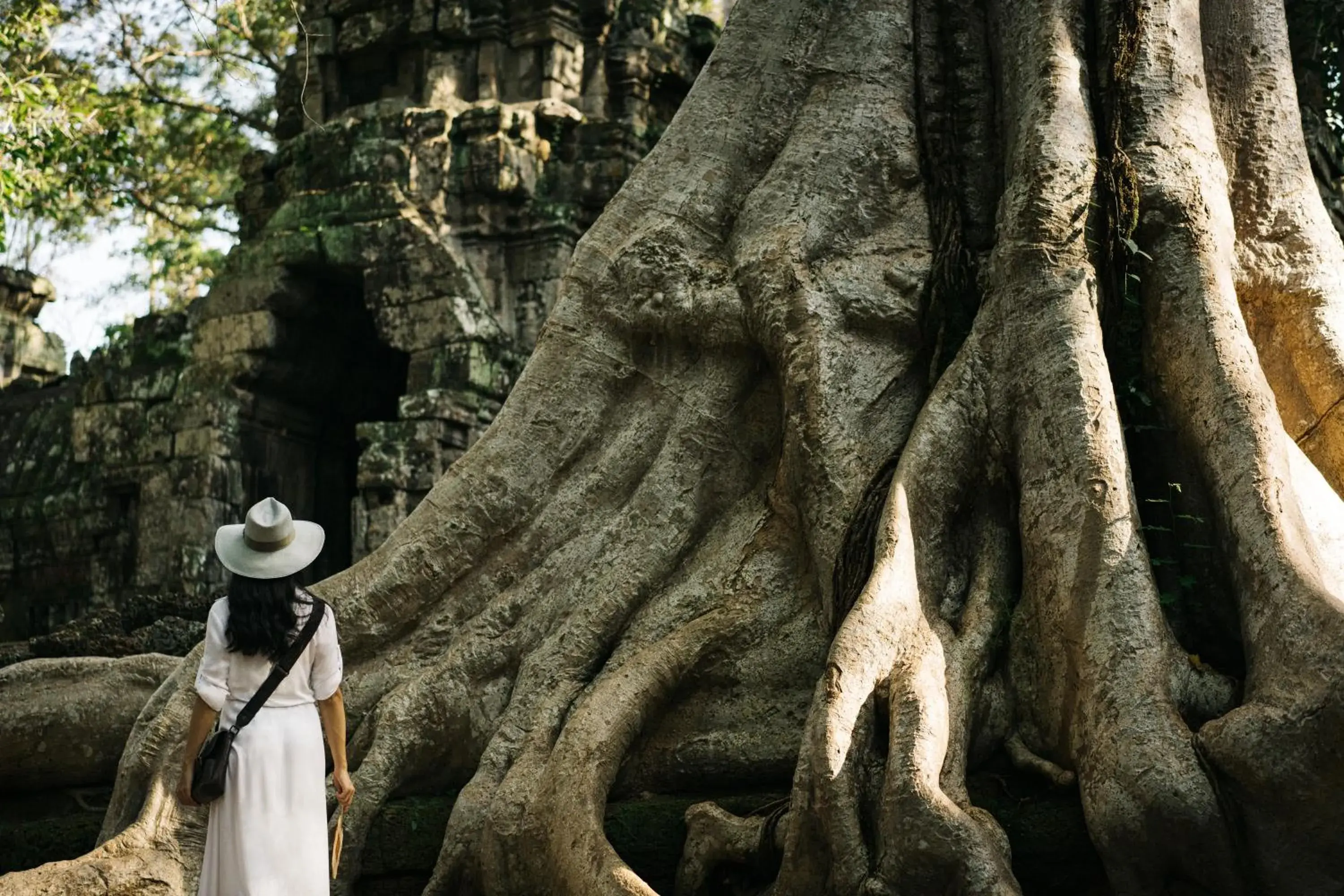 Natural landscape, Other Animals in Raffles Grand Hotel d'Angkor
