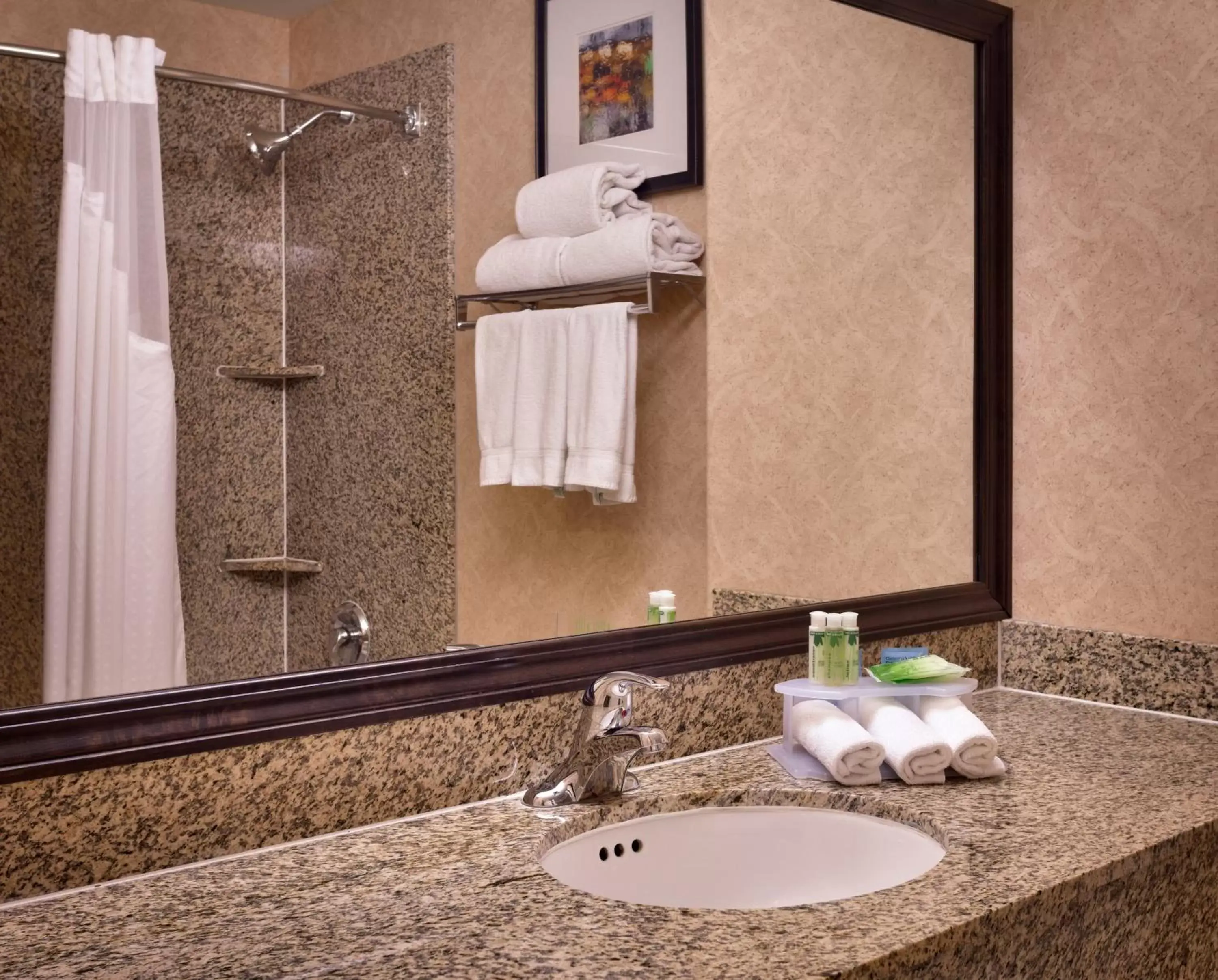 Bathroom in Holiday Inn Express & Suites Mesquite Nevada, an IHG Hotel