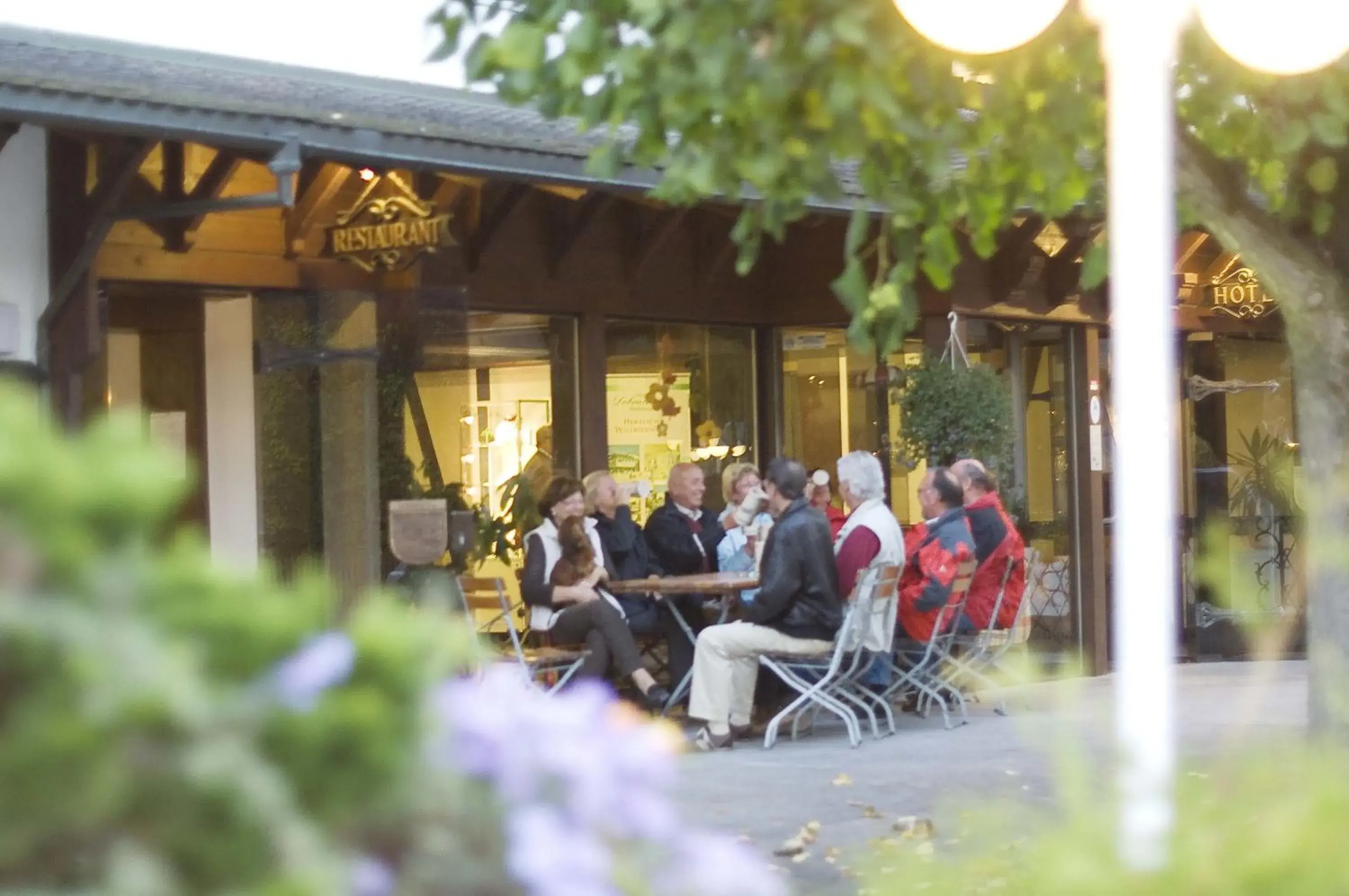 Balcony/Terrace, Restaurant/Places to Eat in Flair Hotel Dobrachtal