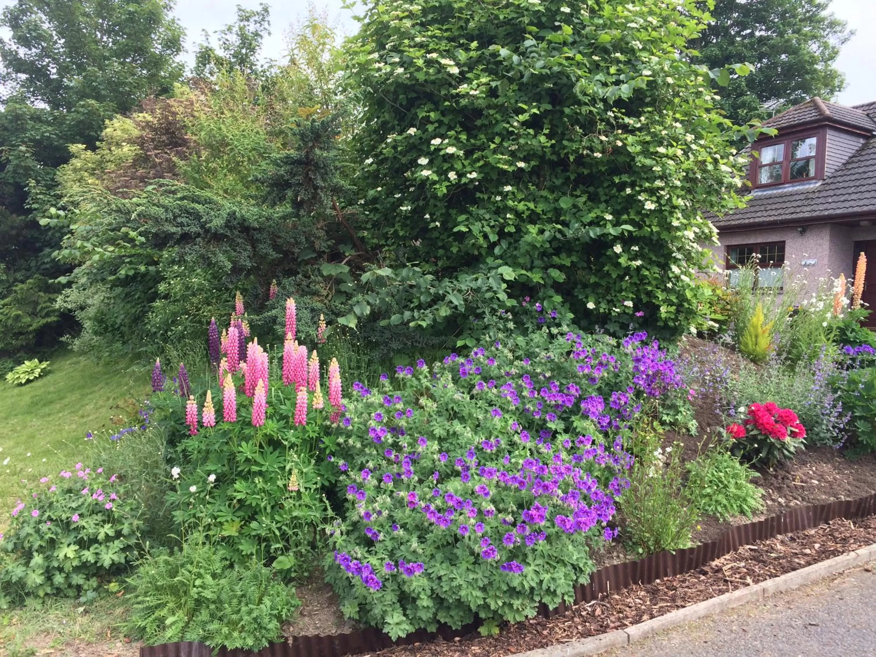 Property building in Deveron Lodge Guest House