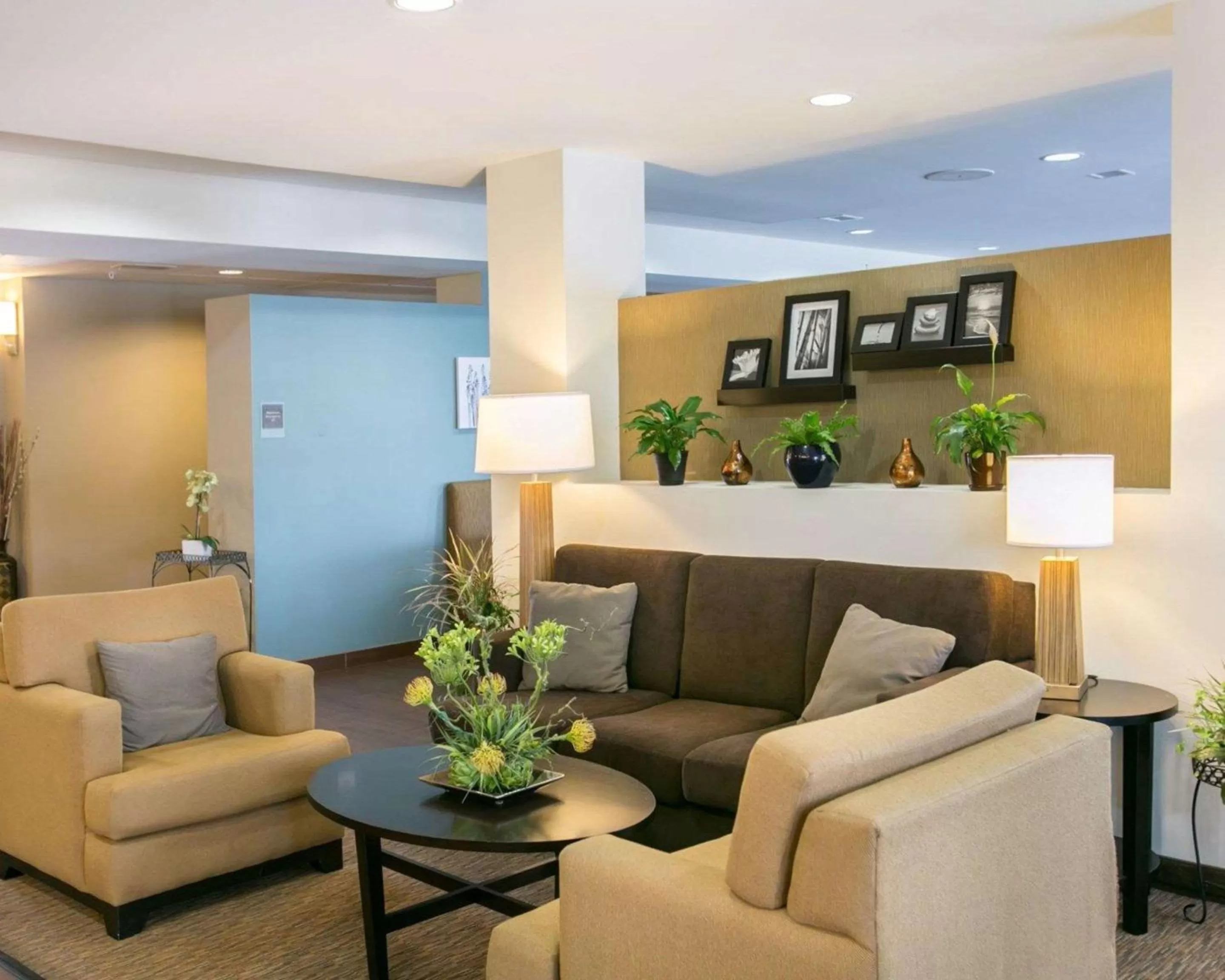 Lobby or reception in Sleep Inn & Suites Austin North - I-35