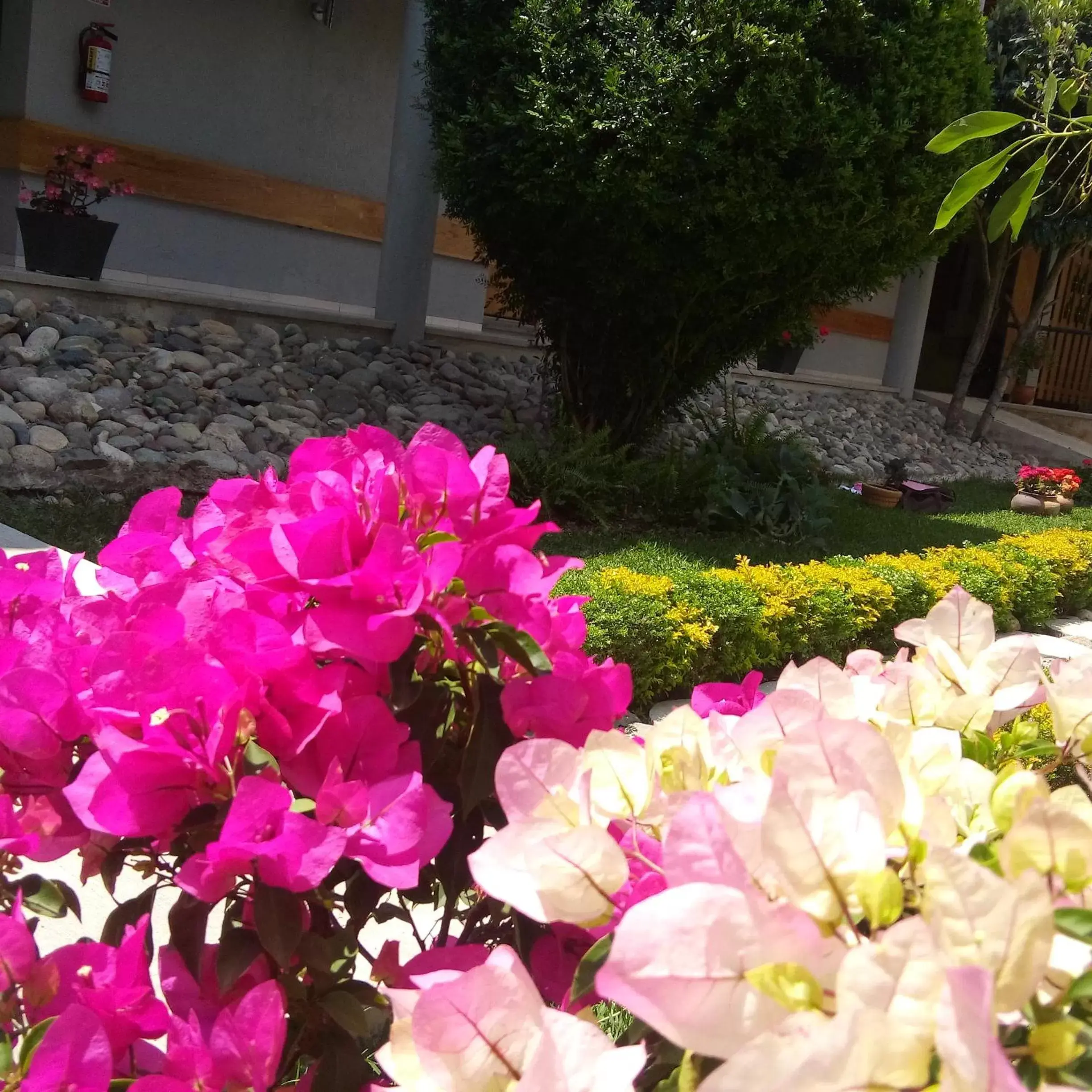 Spring, Garden in Hotel Casa Caelum